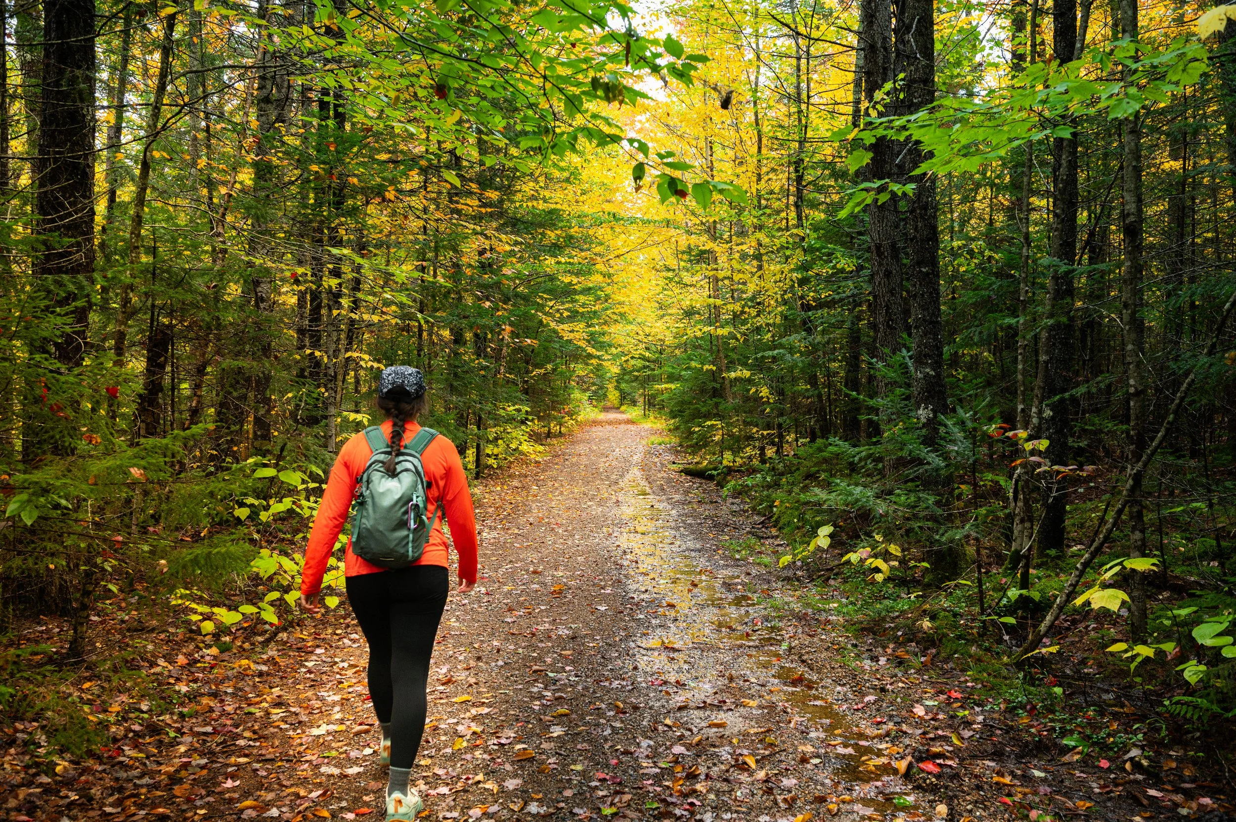 5 Easy Hikes For the Perfect Fall Mountain Day in Waterville Valley