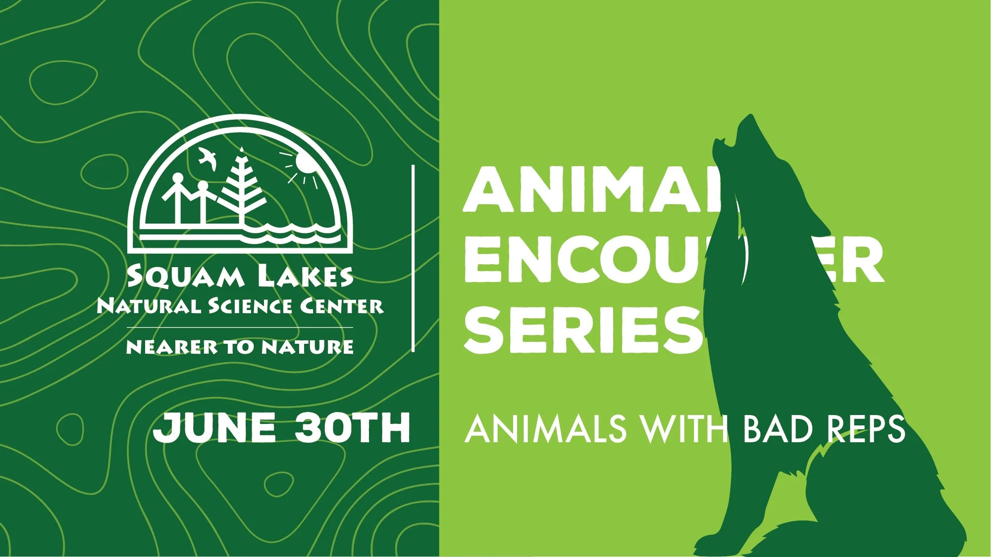 Animal Encounter Series: AnimalS With Bad Reps