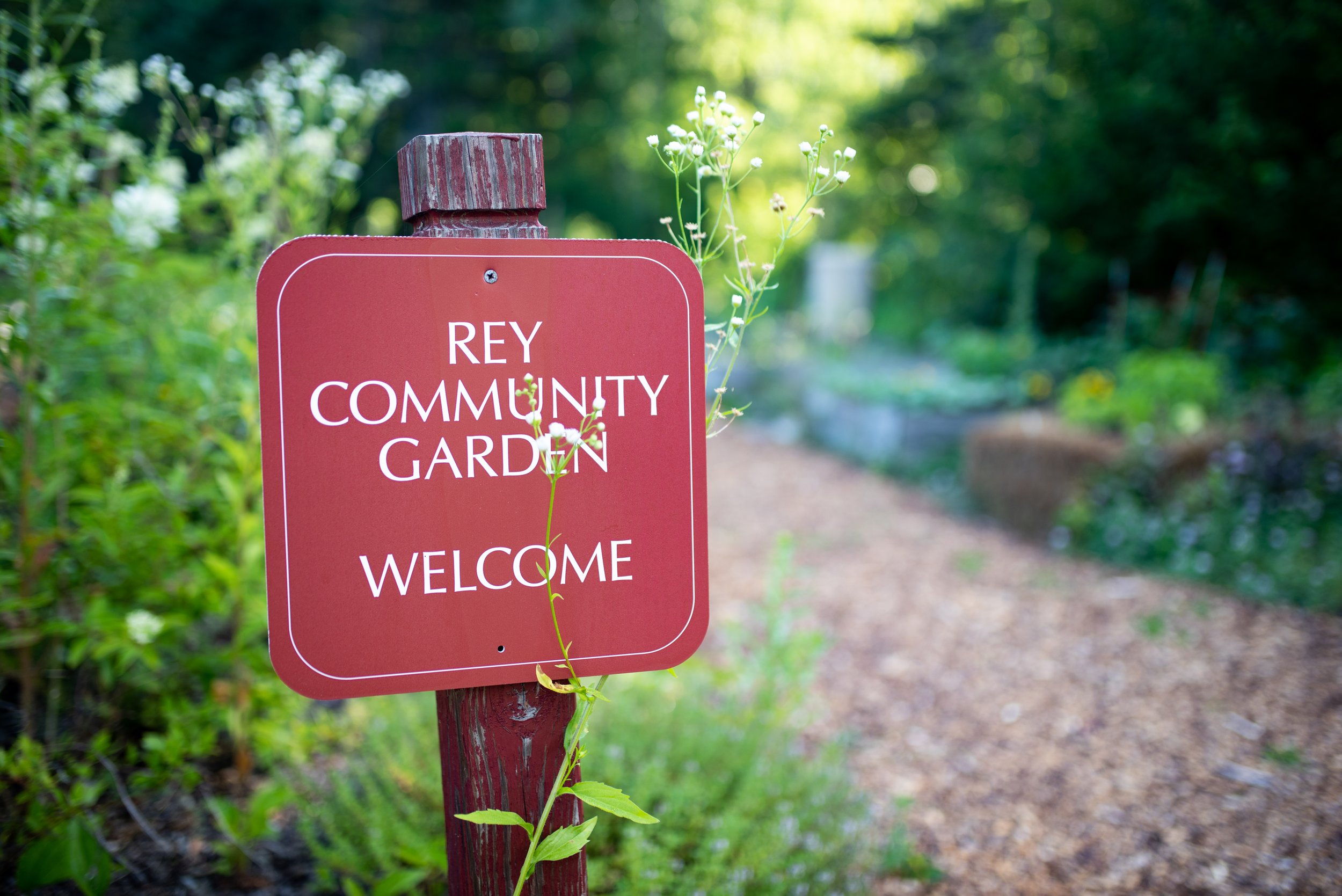 WOODLAND FAIRY HOUSE BUILDING