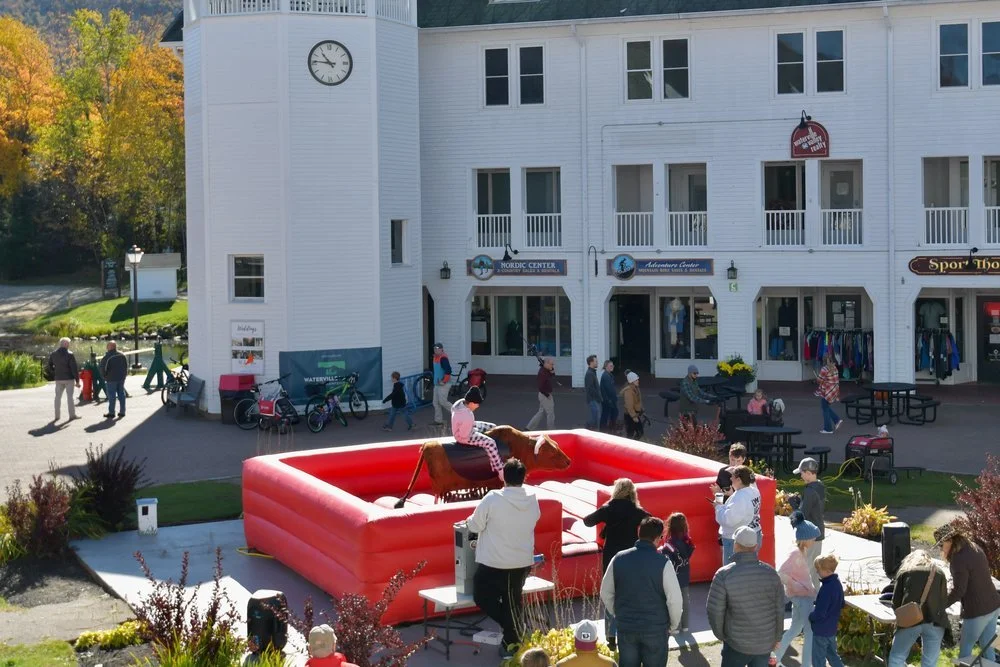MECHANICAL BULL RIDING