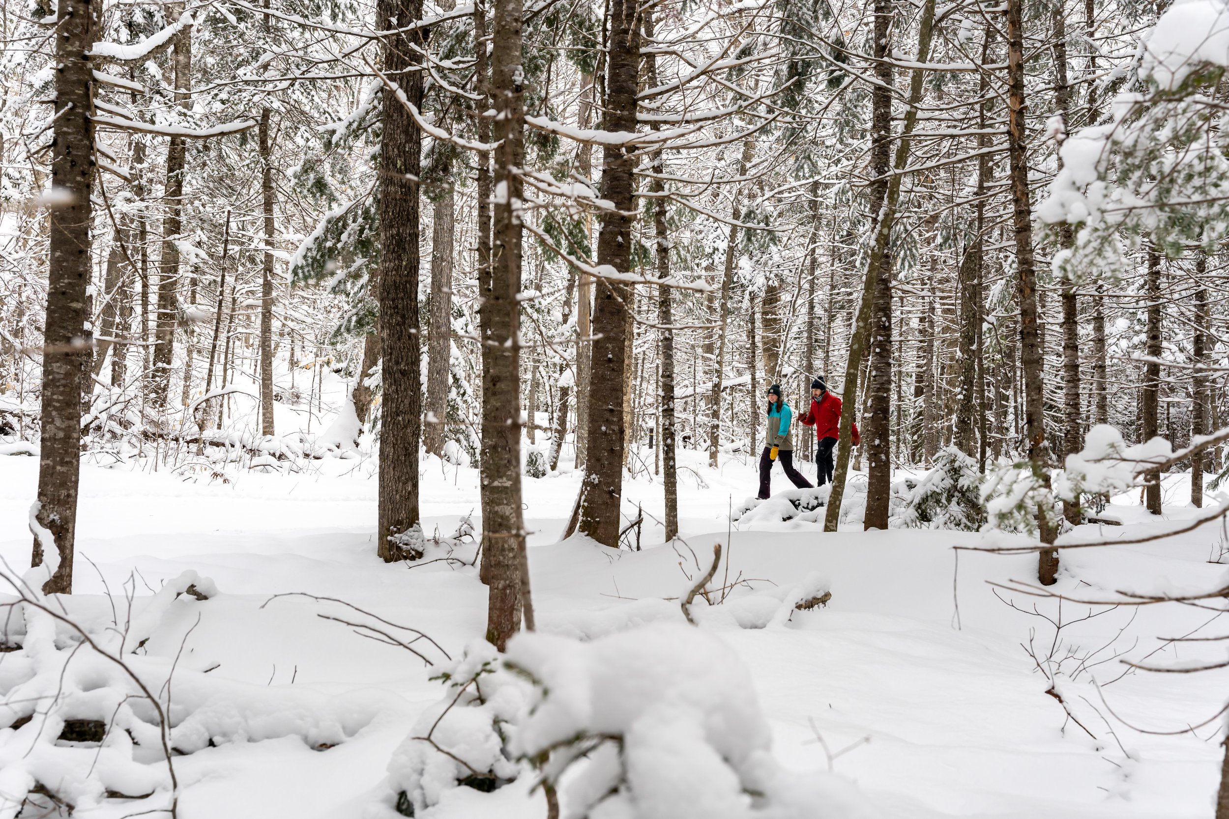 2021-01-23 Waterville Valley Snowshoeing (104 of 111).jpg