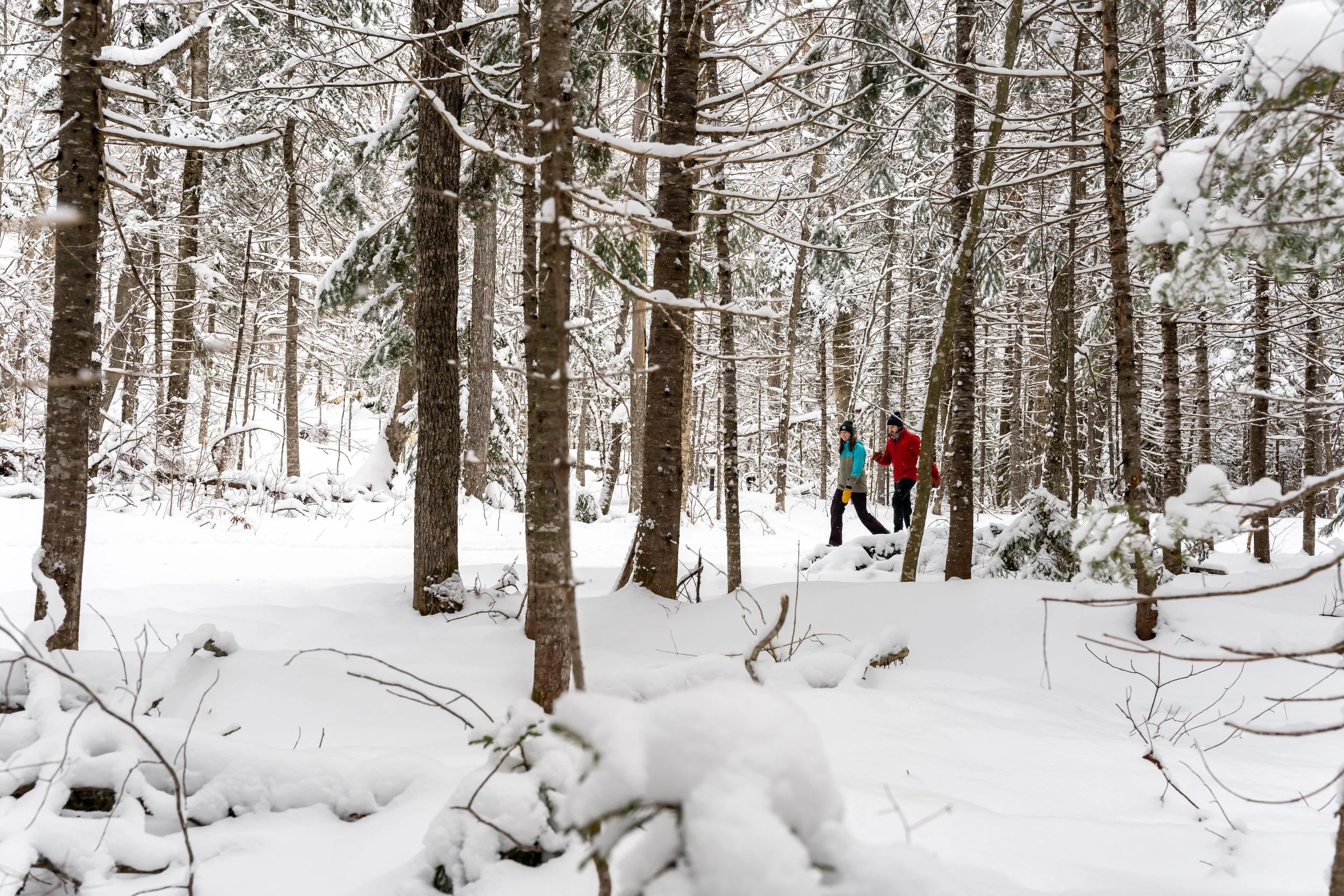 Waterville Valley for Non-Skiers: Cozy, Scenic, and Fun!