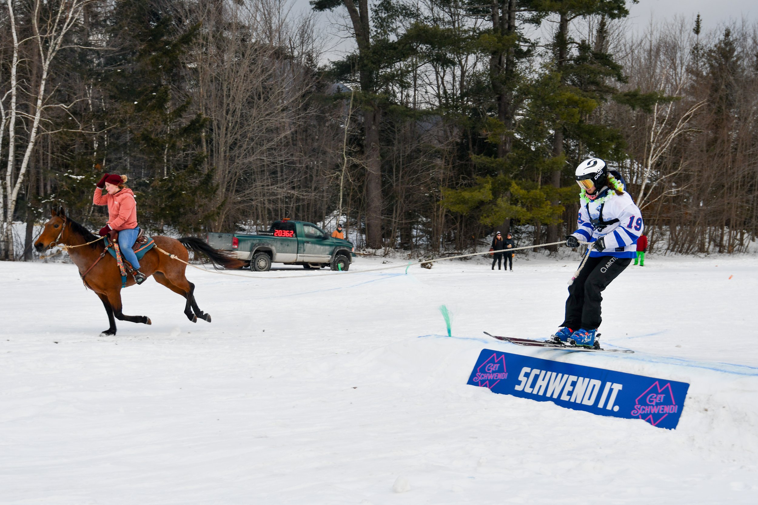 Skijor Galore_2024-09.jpg