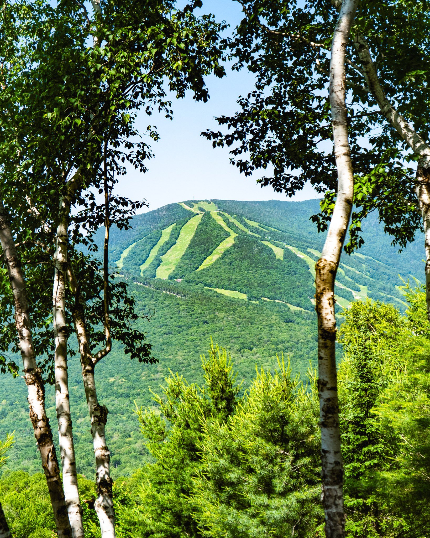 Happy Earth Day! 🌎 Grateful for this place, and counting down the days to summer in the Valley 💚
