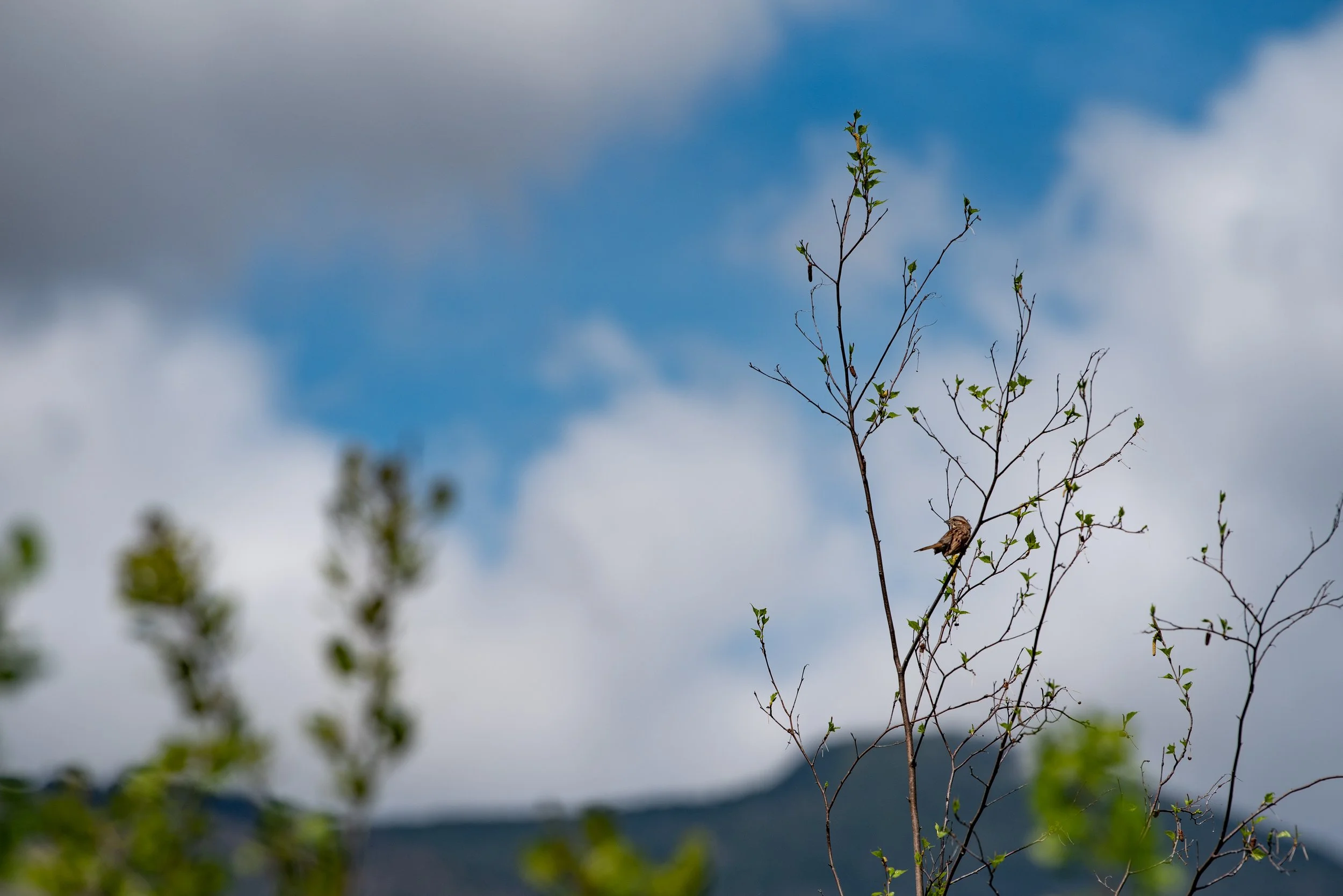 Why Late Spring Might Be the Best Time to Visit Waterville Valley