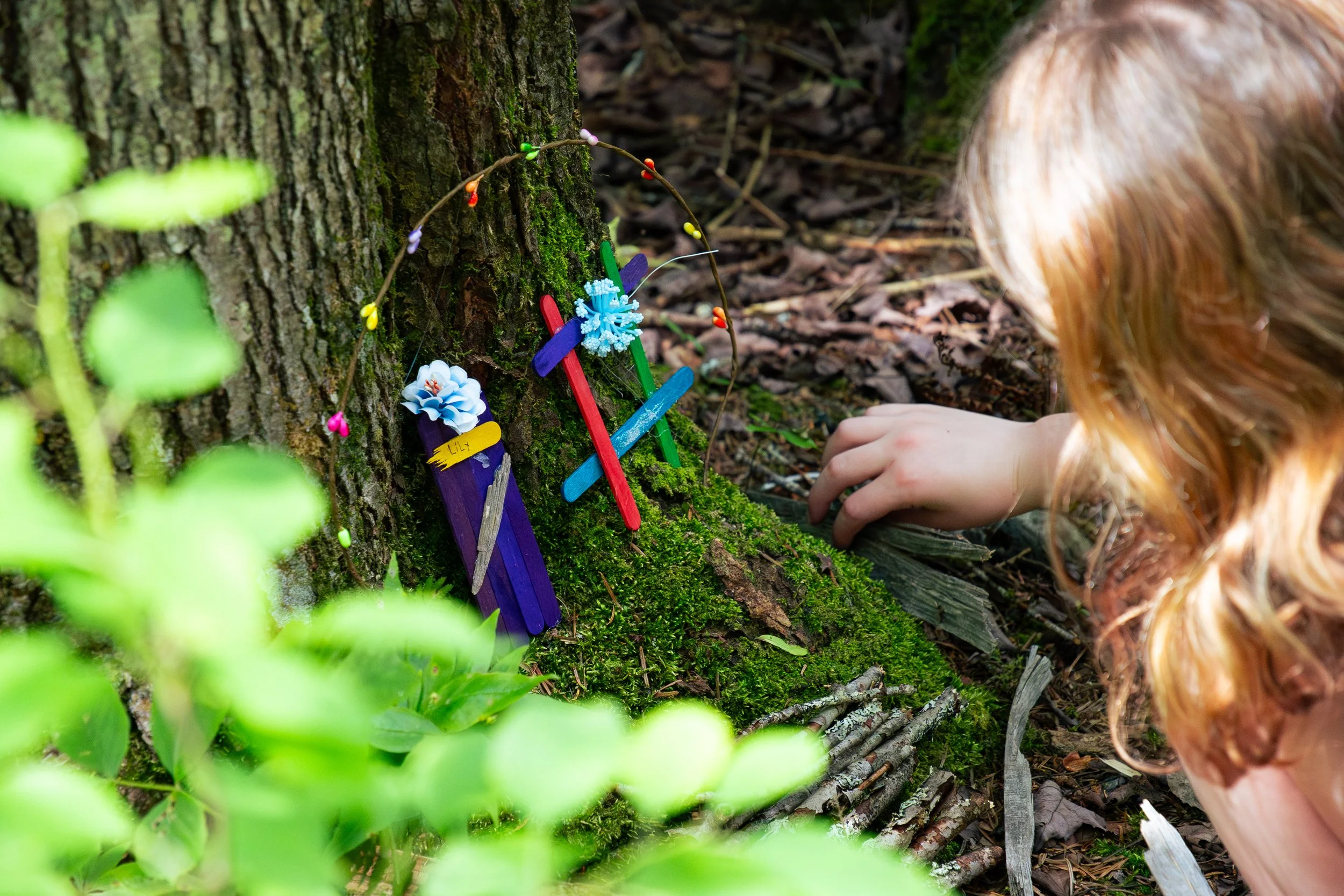 Fairy House Building