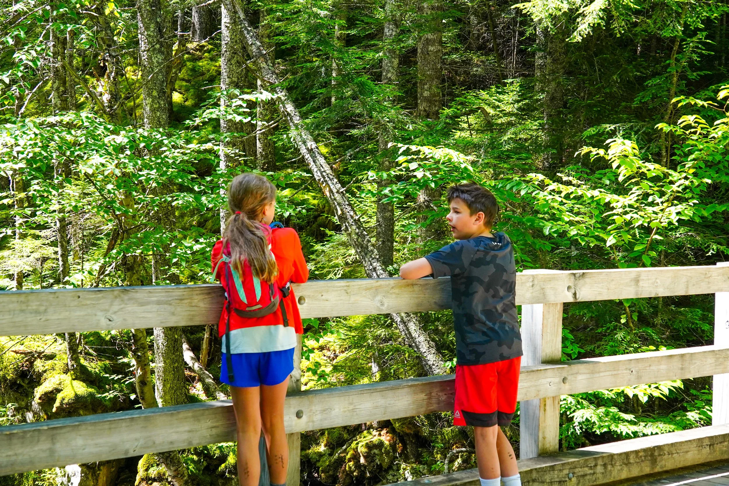 Guided Nature Adventure