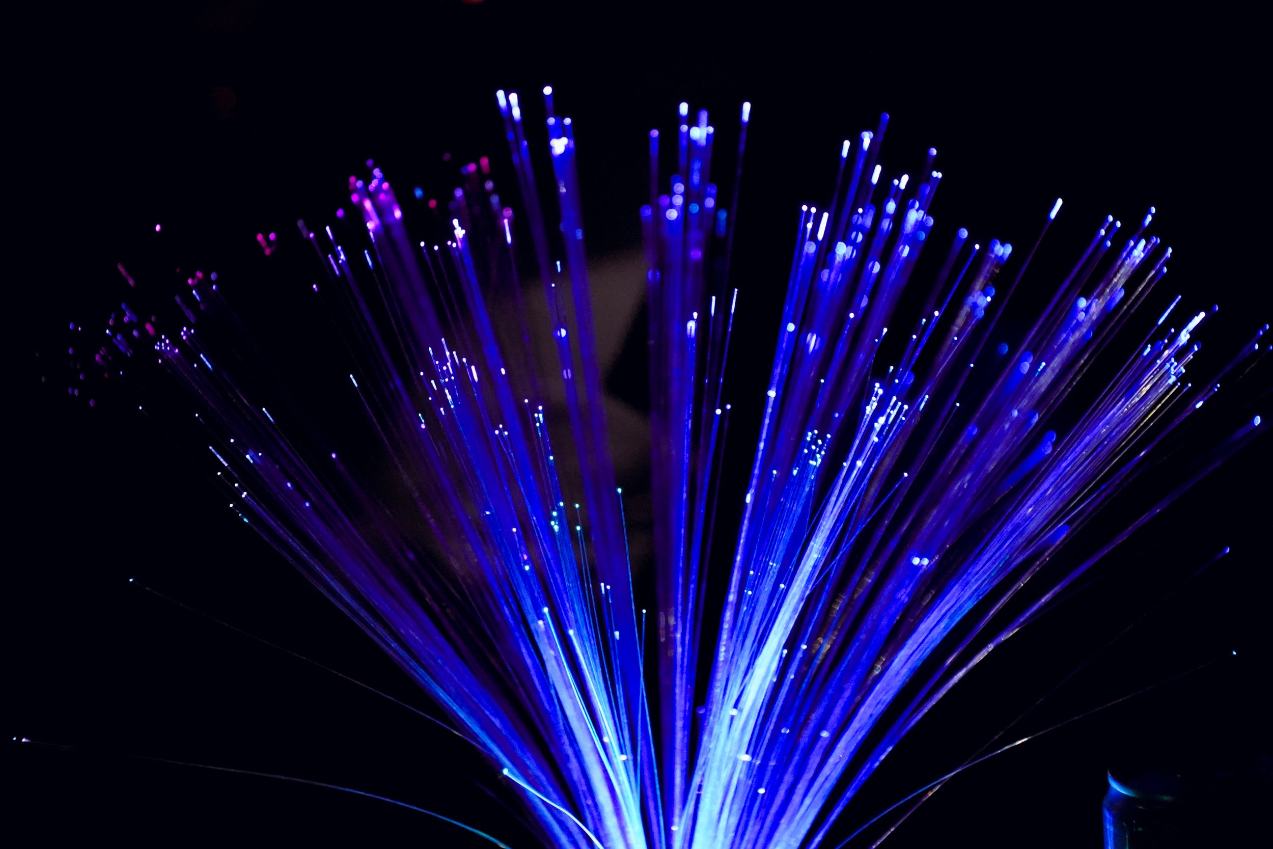 2026 Neon Night_Horizontal-25.jpg