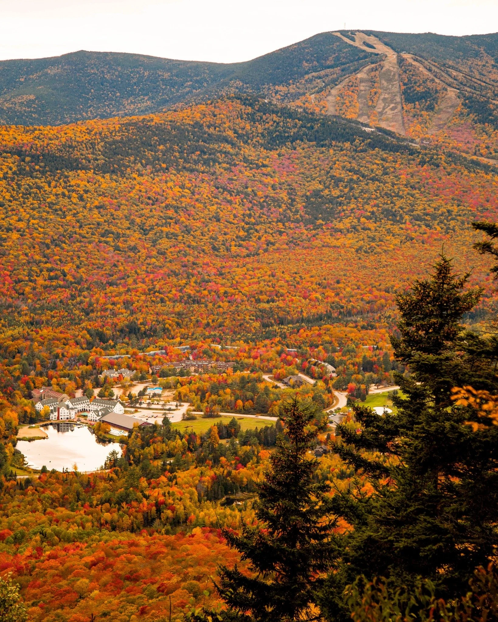 While we wait for the mountains to turn, we've created a bucket list of activities that pair just right with fall 👌 

Best Fall Activities in Waterville Valley: use Blog 🔗 in bio