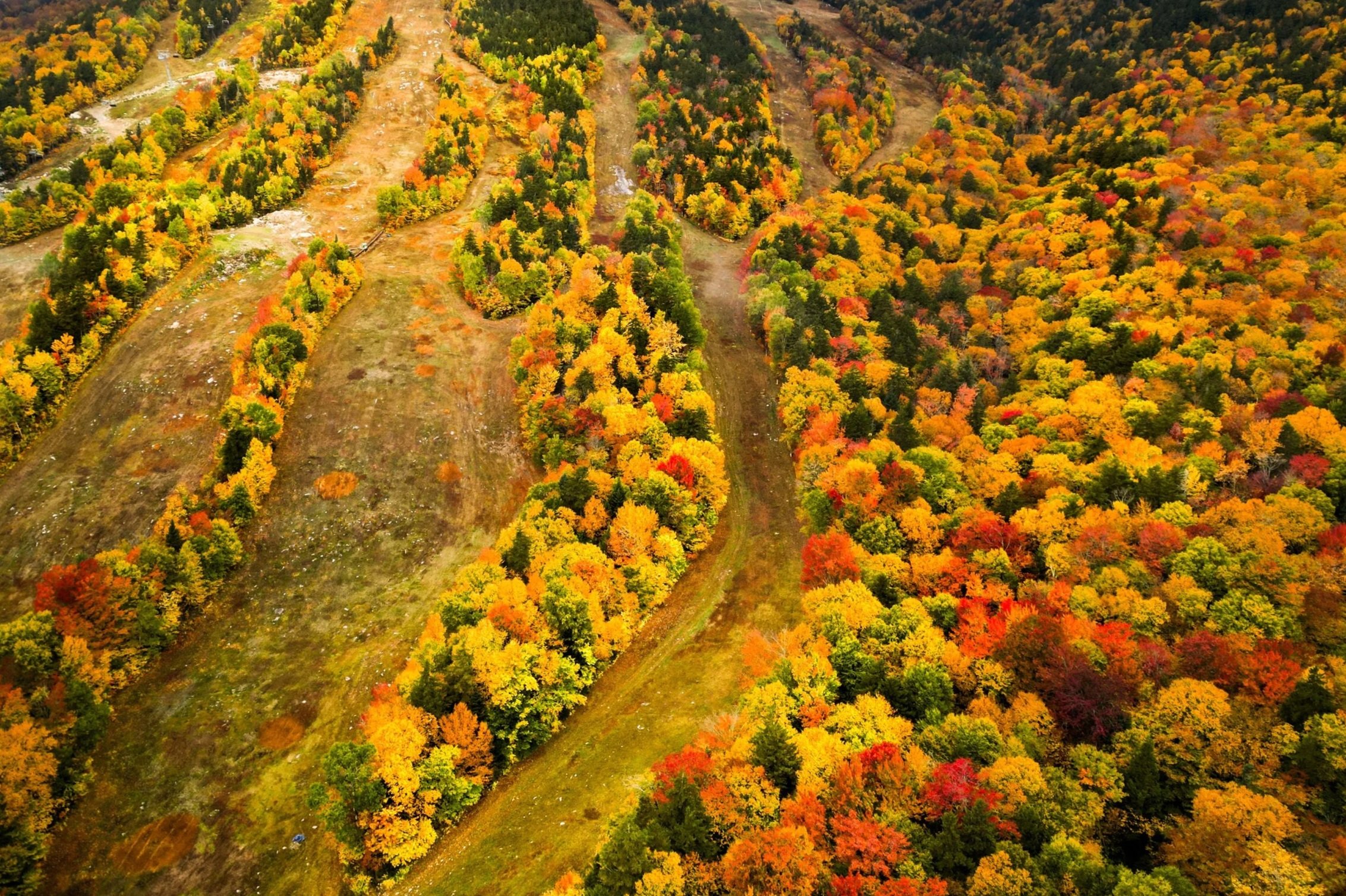 The Best Places To See Fall Foliage This Season