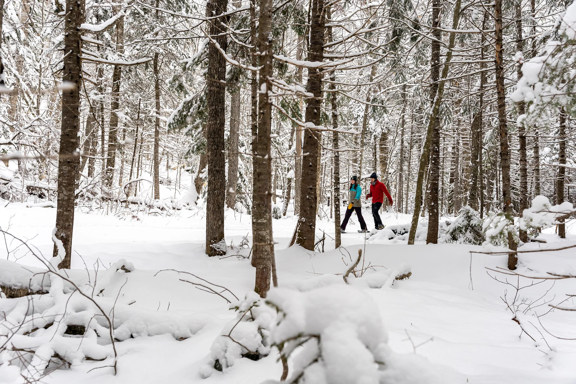 Nordic Center — Waterville Valley Resort