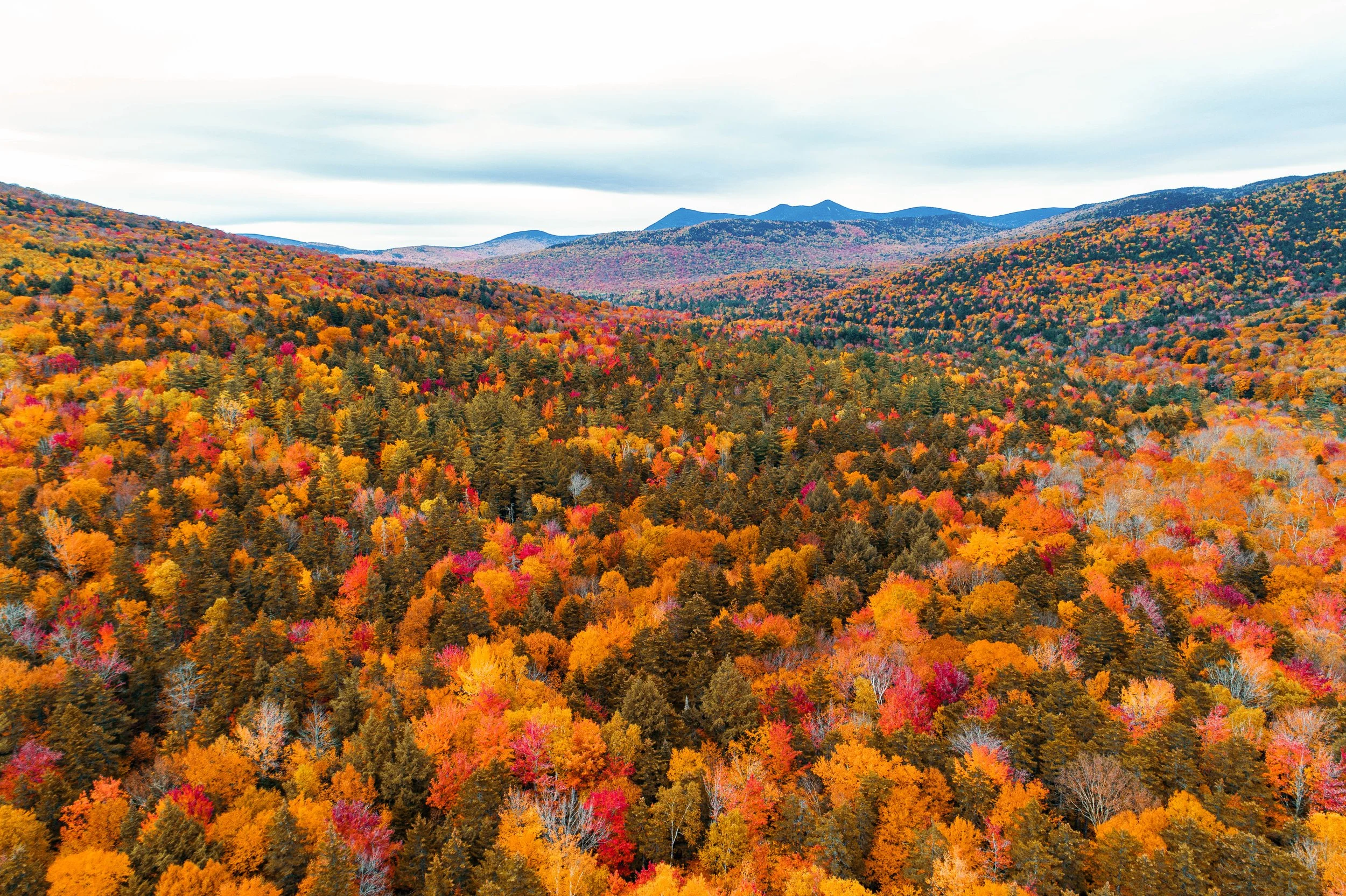 Landscape_03.jpg