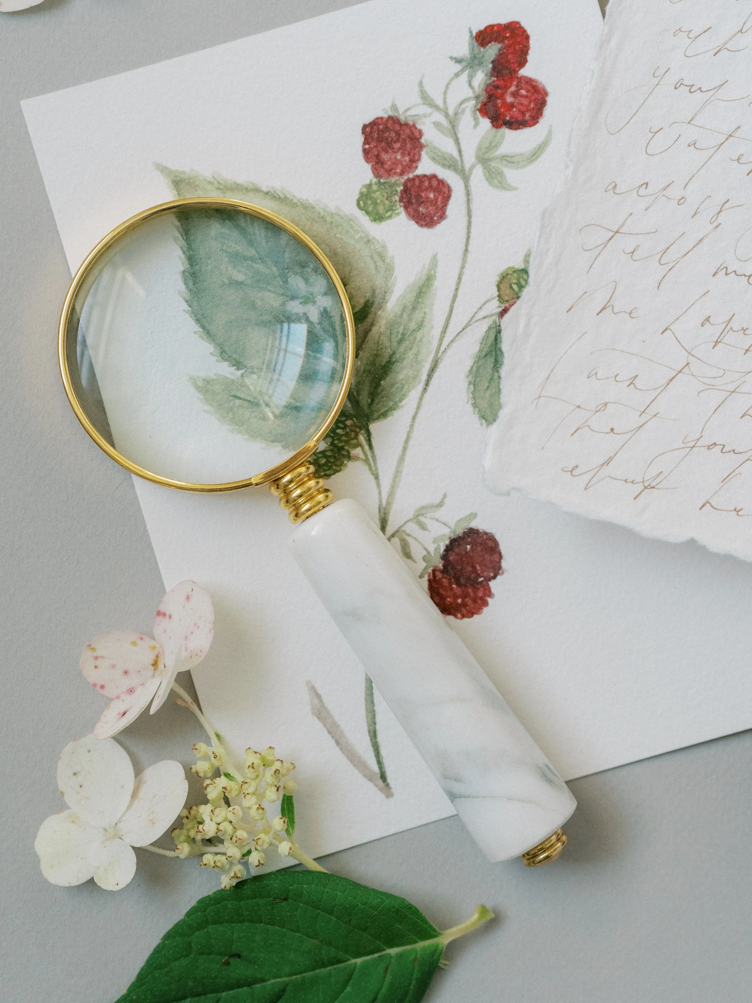 HH_Paper_Suite-20.jpg