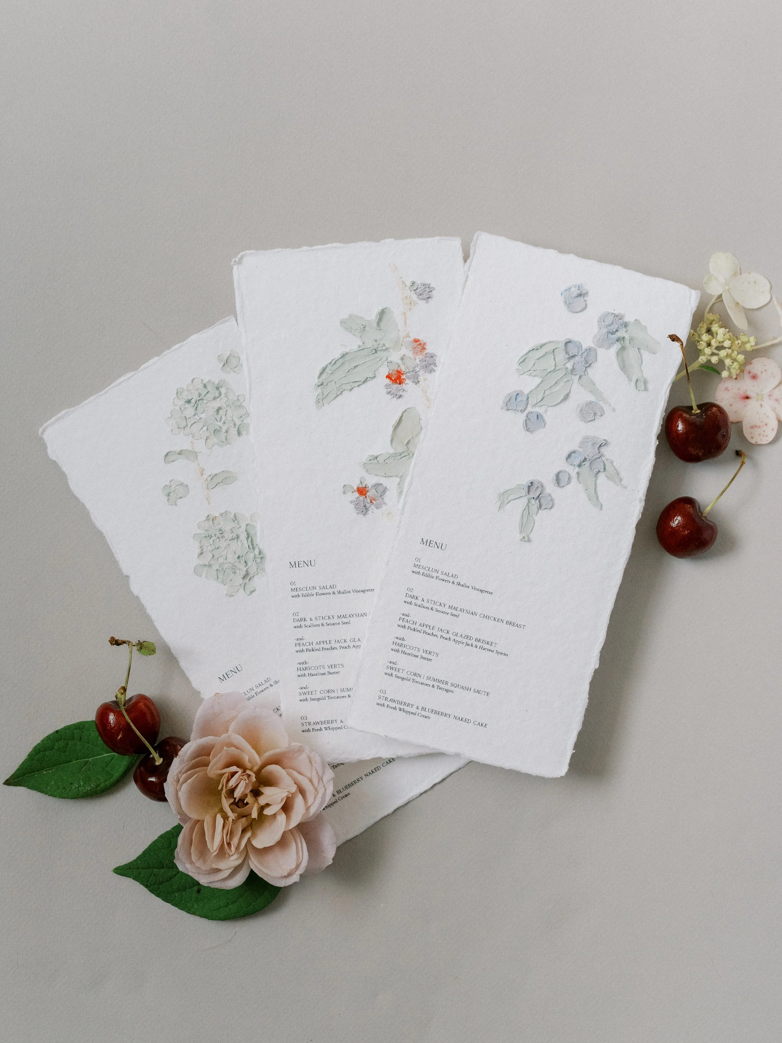 HH_Paper_Suite-38.jpg