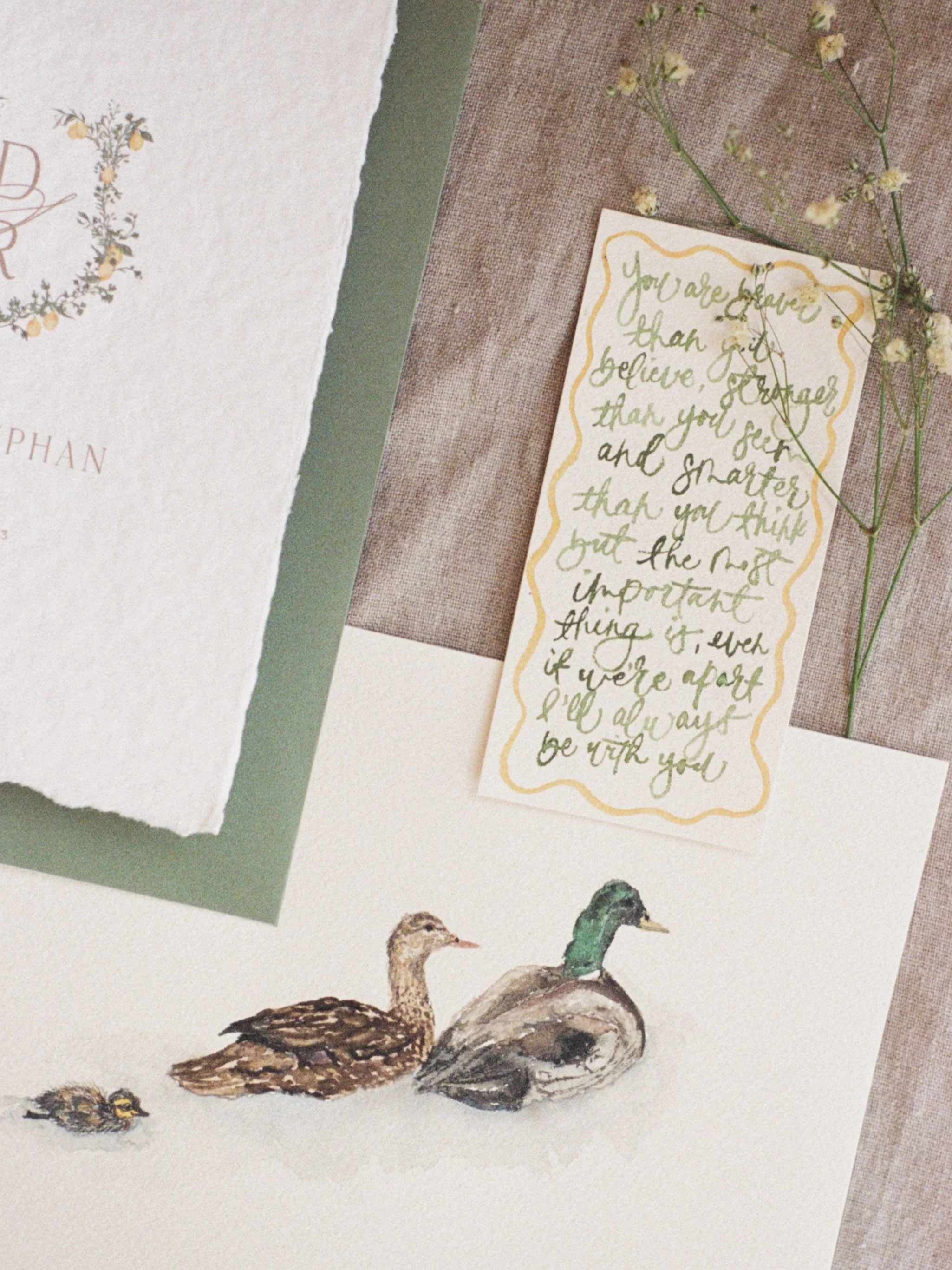 DRBaby- Alexandra McCormick-10.jpg