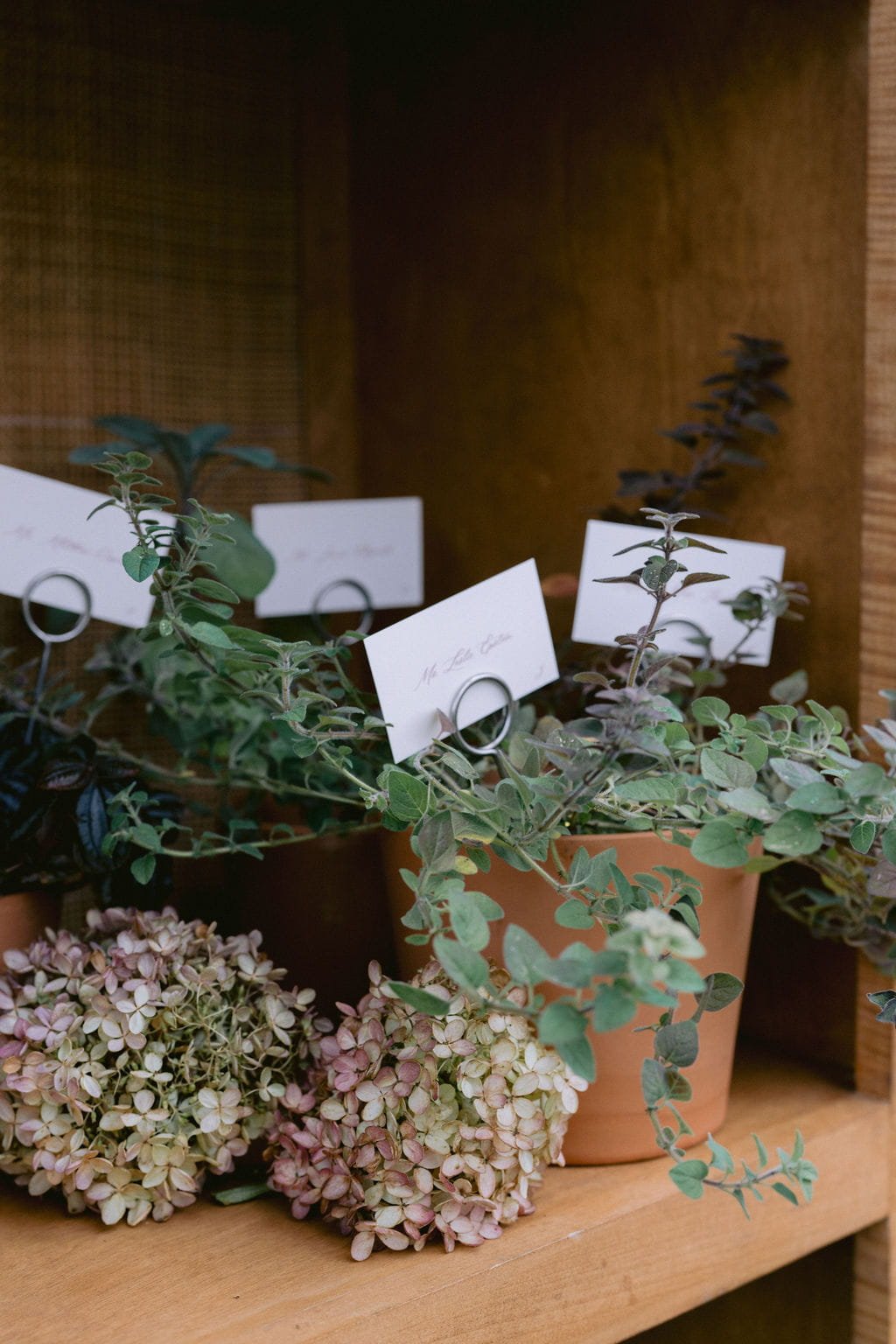 NikkiSanterre_EastCoastLuxuryWeddingPhotographer_CaitieHanrahan_KeswickHallWedding_Jac&Zach-913 (1).jpg