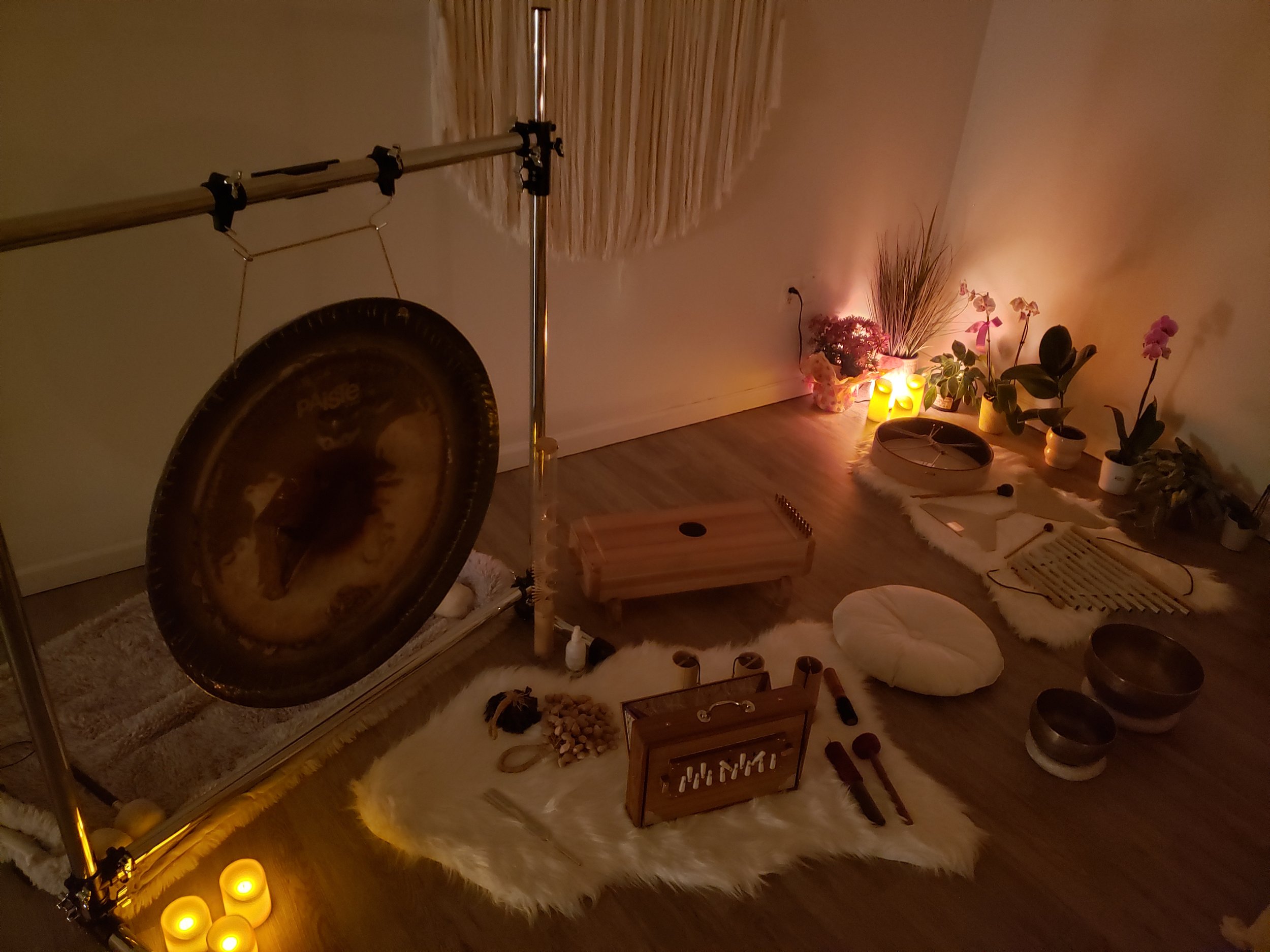 gong bath, shruti box, shamanic drum, Himalayan singing bowls, koshi chimes, swing chime, wave, seed rattles,  zither sound therapy instruments