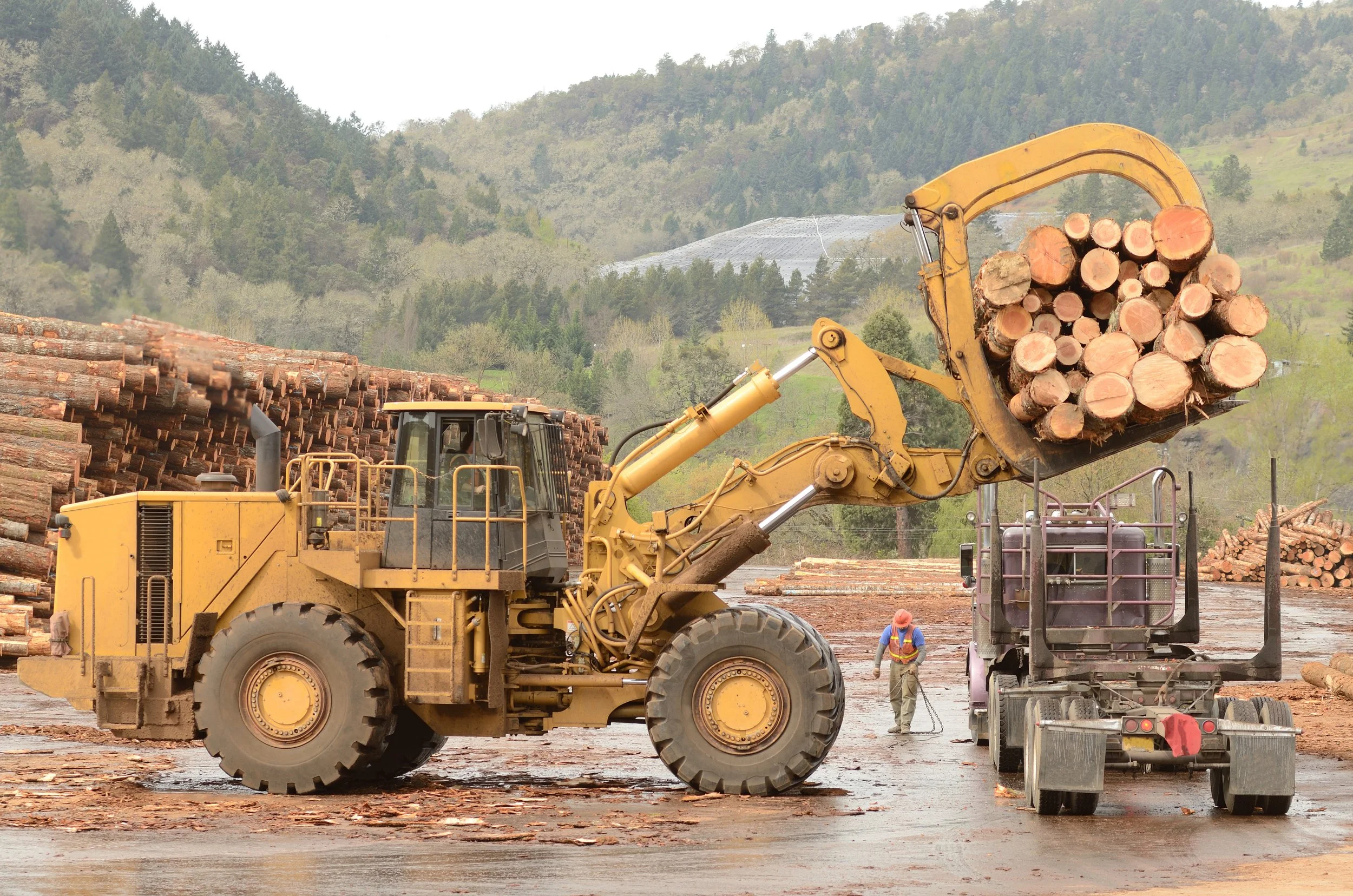 Forestry and Logging Industry Use of Commerical Equipment Financing and Working Capital