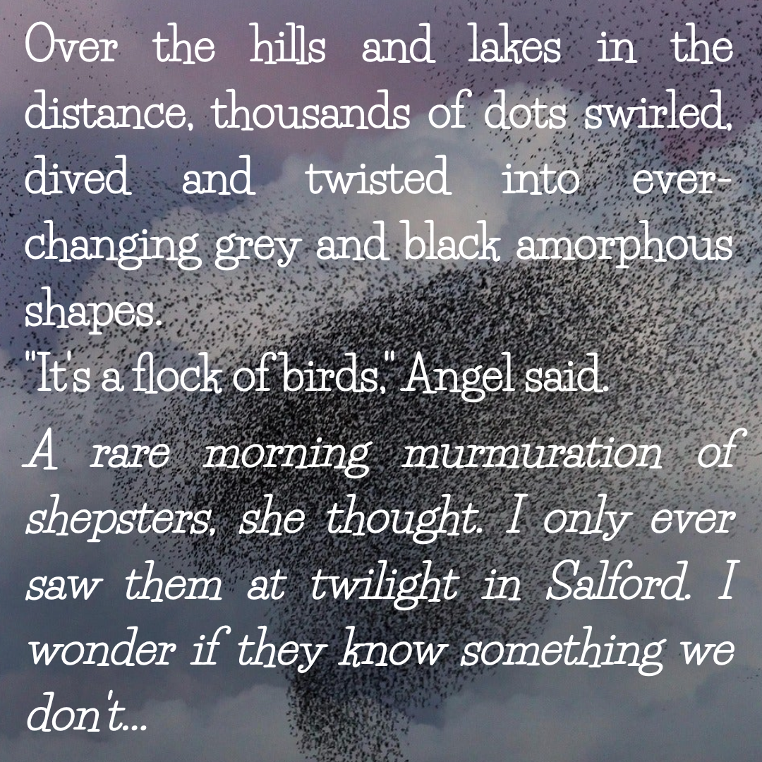 Book three of the trilogy is called…