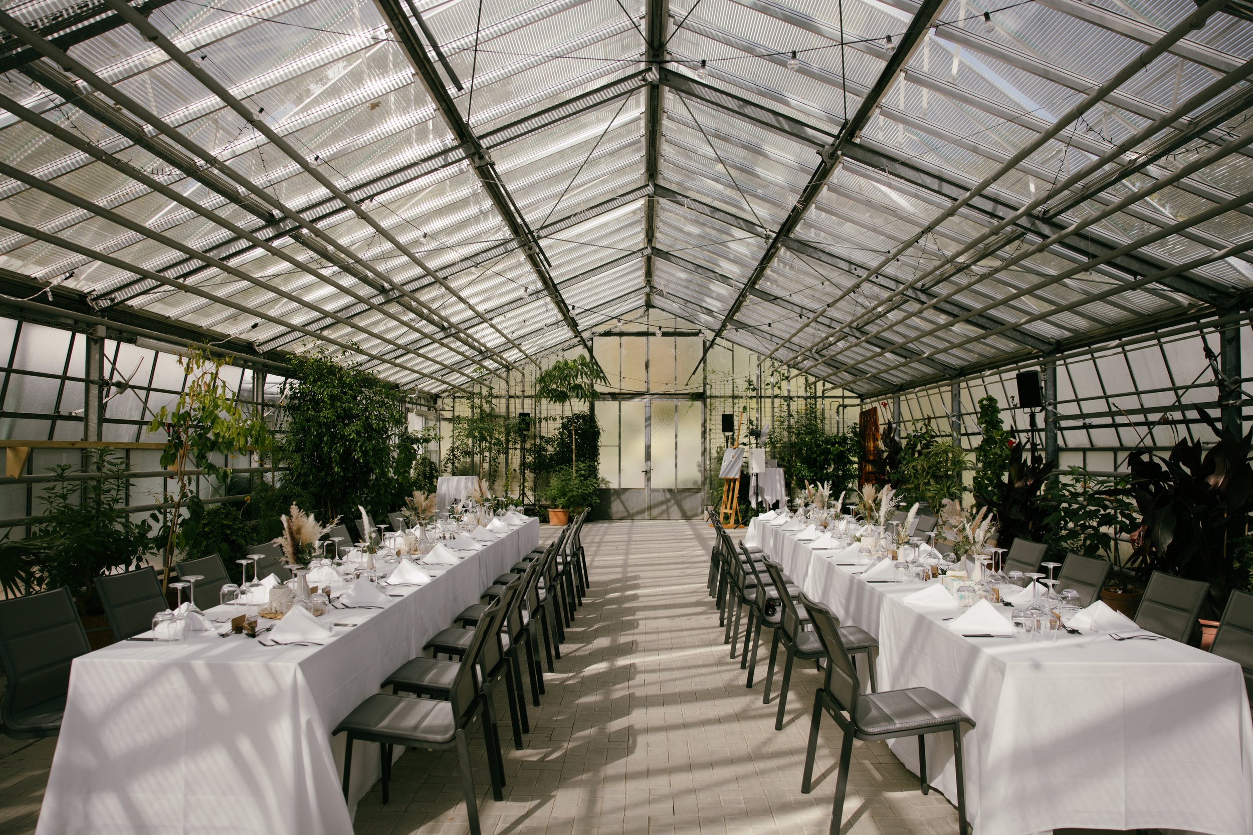 Merian Garten greenhouse, wedding celebration.jpg