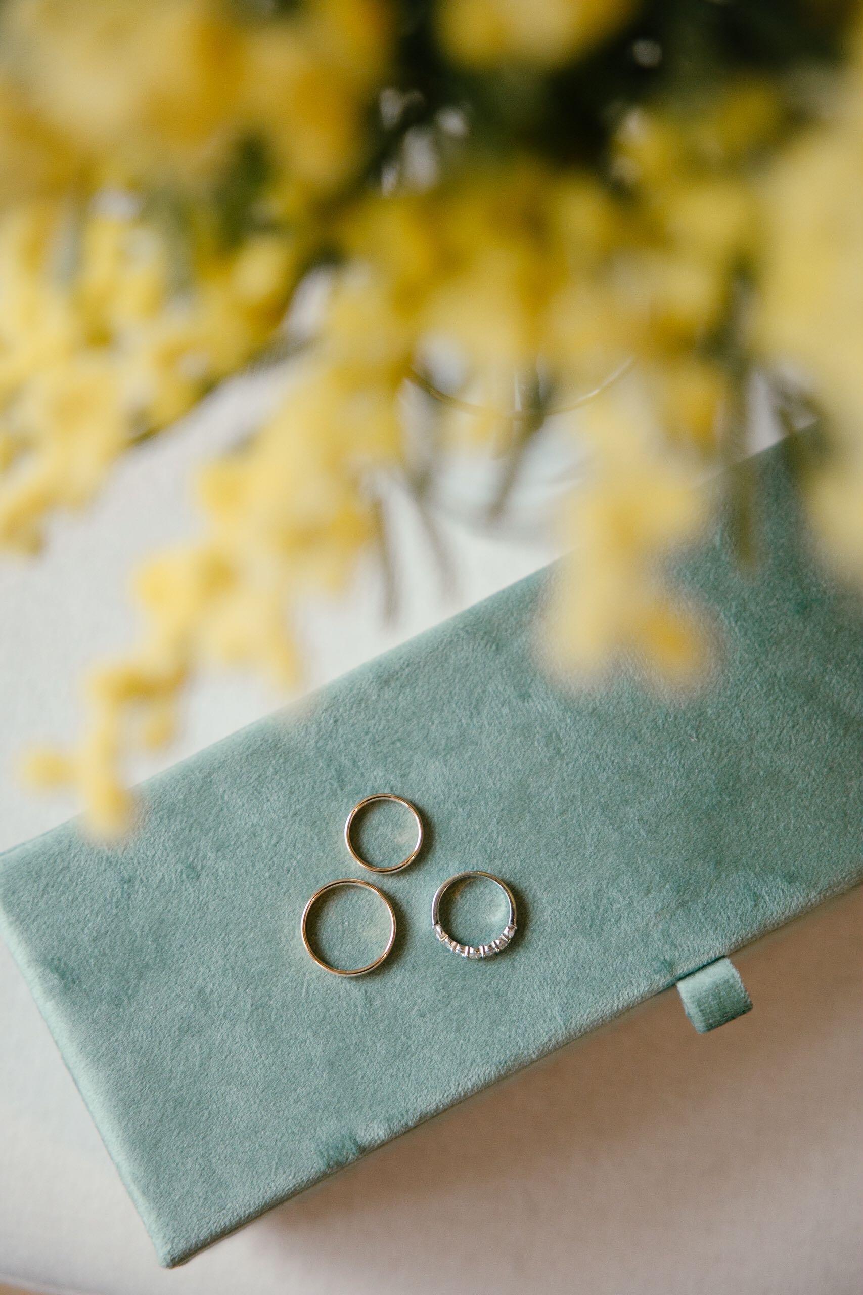 Marriage rings mimosa plant.jpg