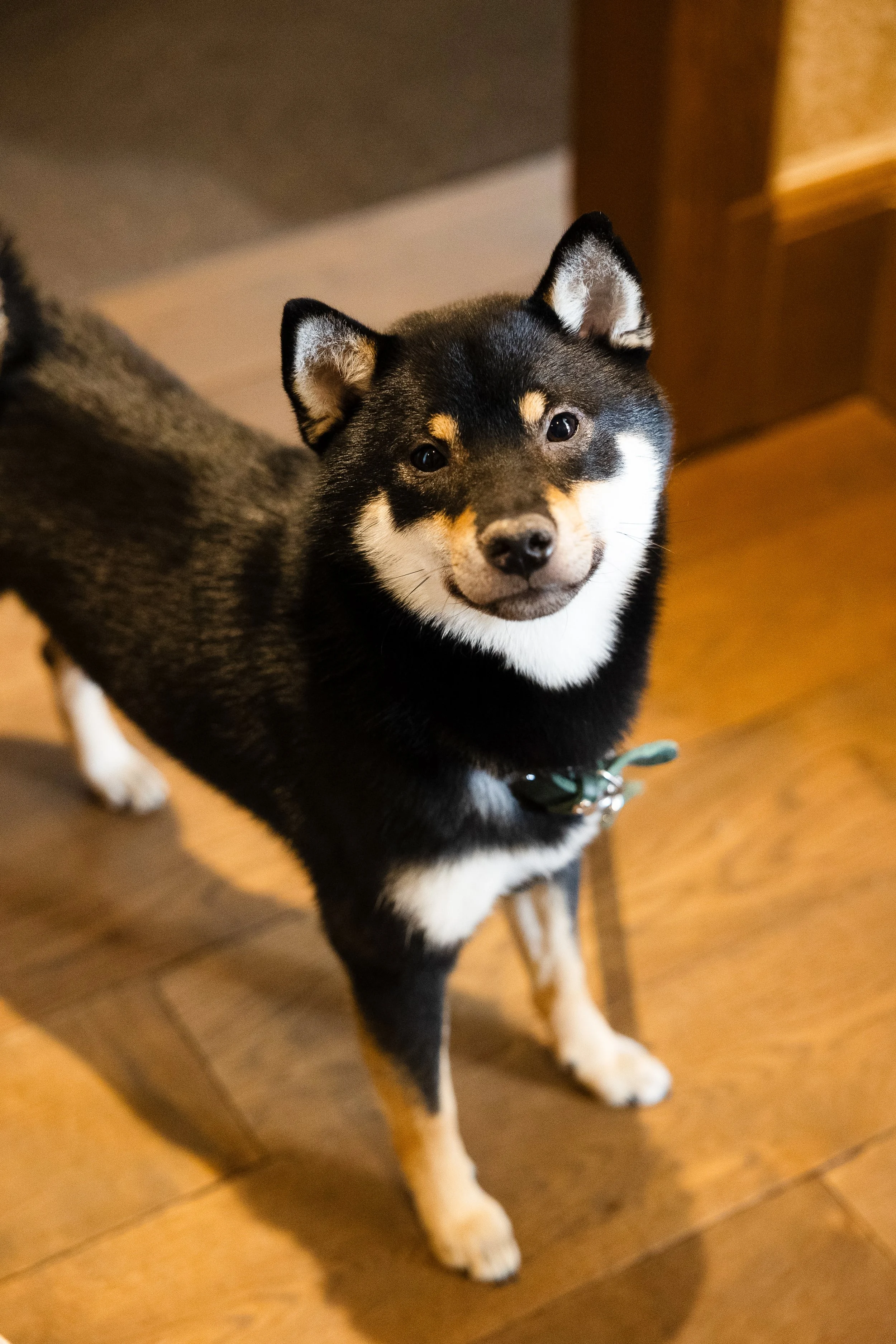 PupilaPhotography_1504.jpg