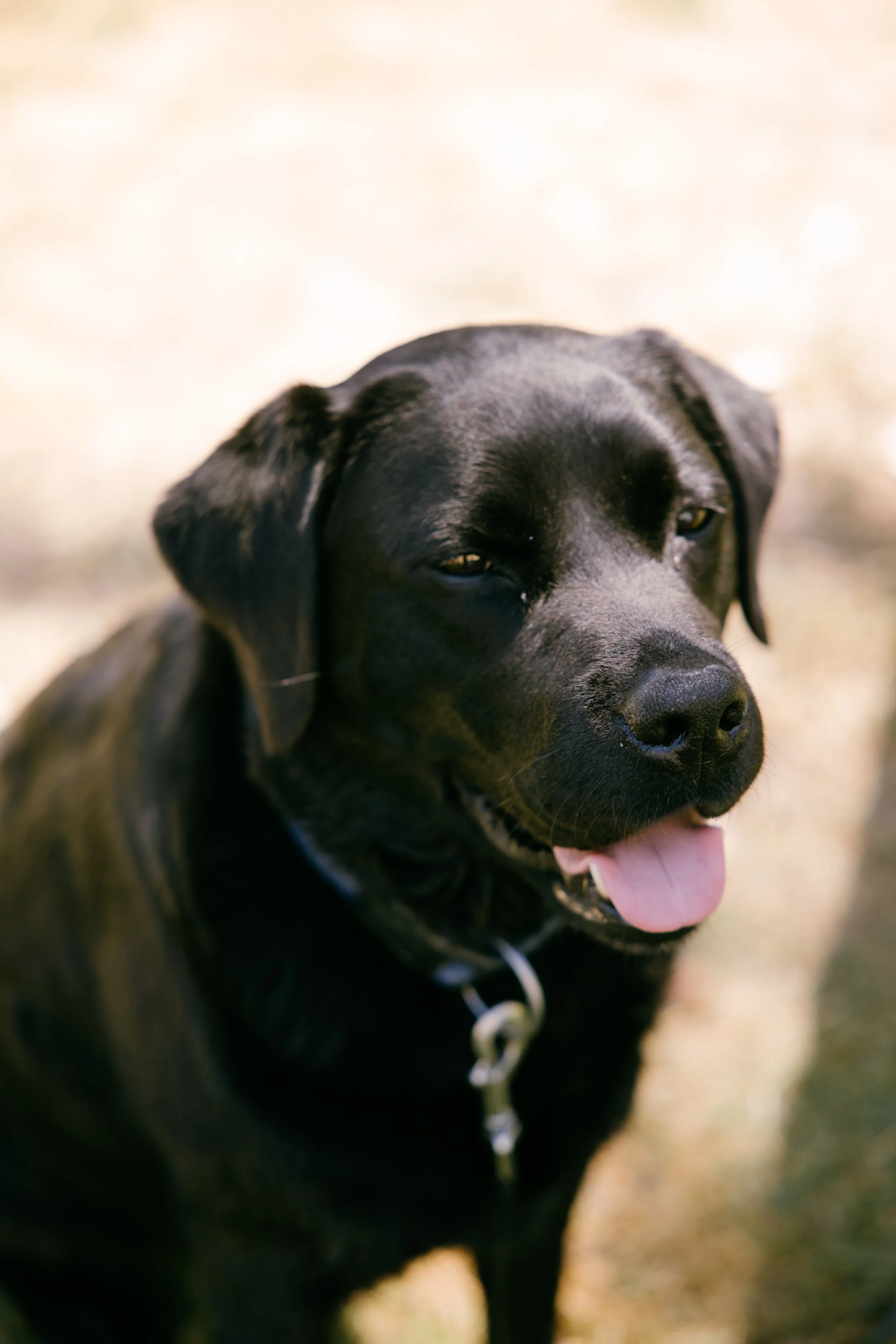 PupilaPhotography_7133.jpg