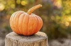 The Great Pumpkin Glow Facial