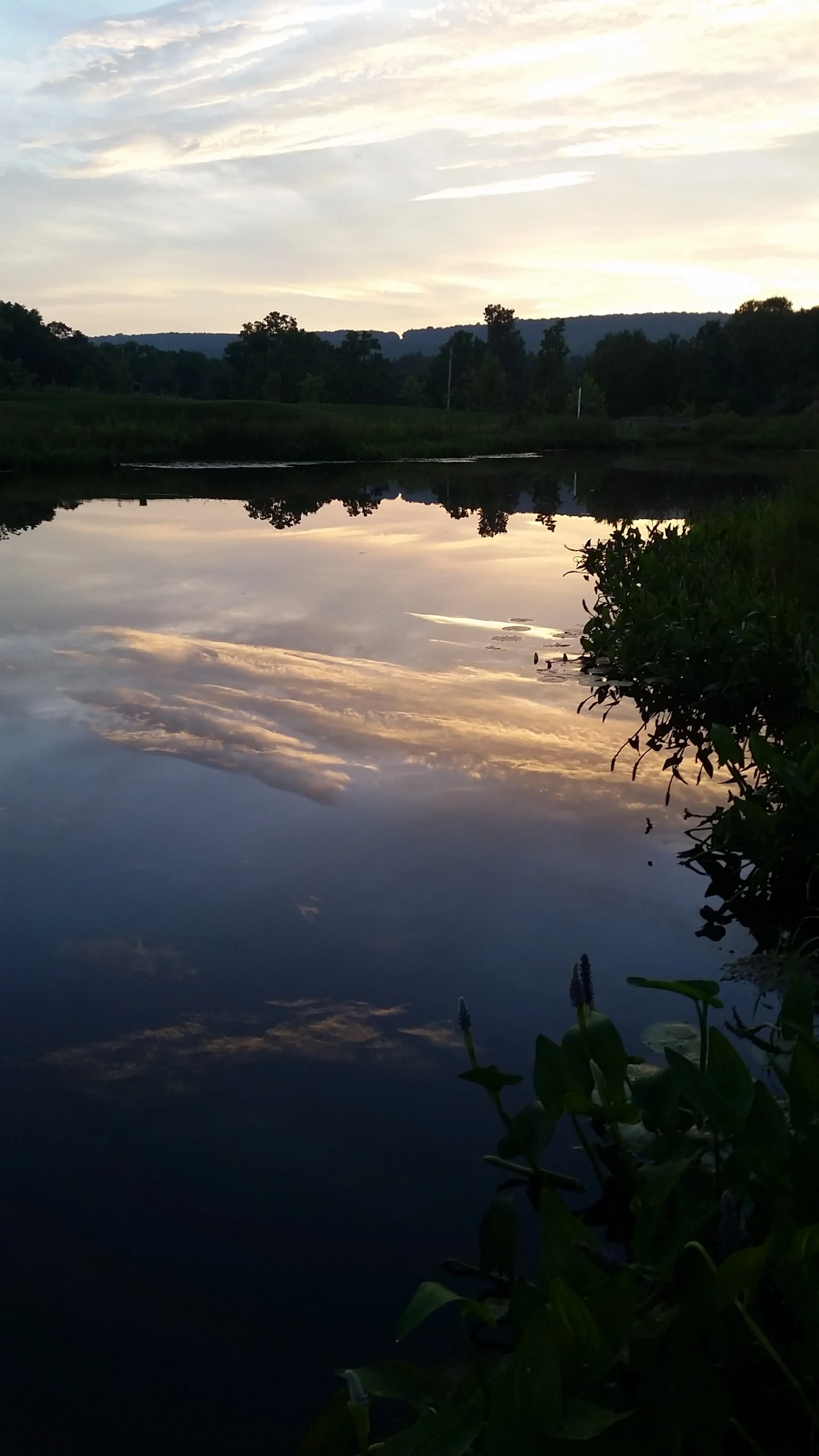 20160718_202214.jpg