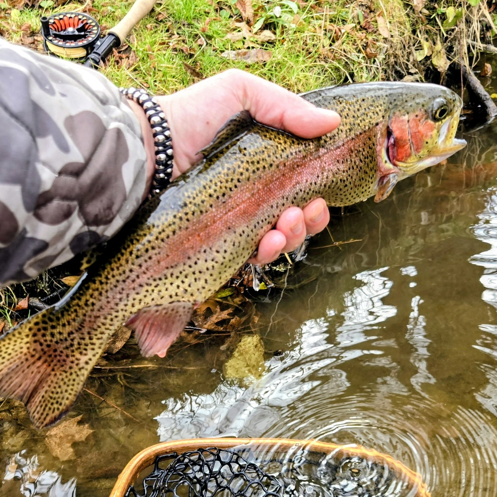 2026 Individual Membership