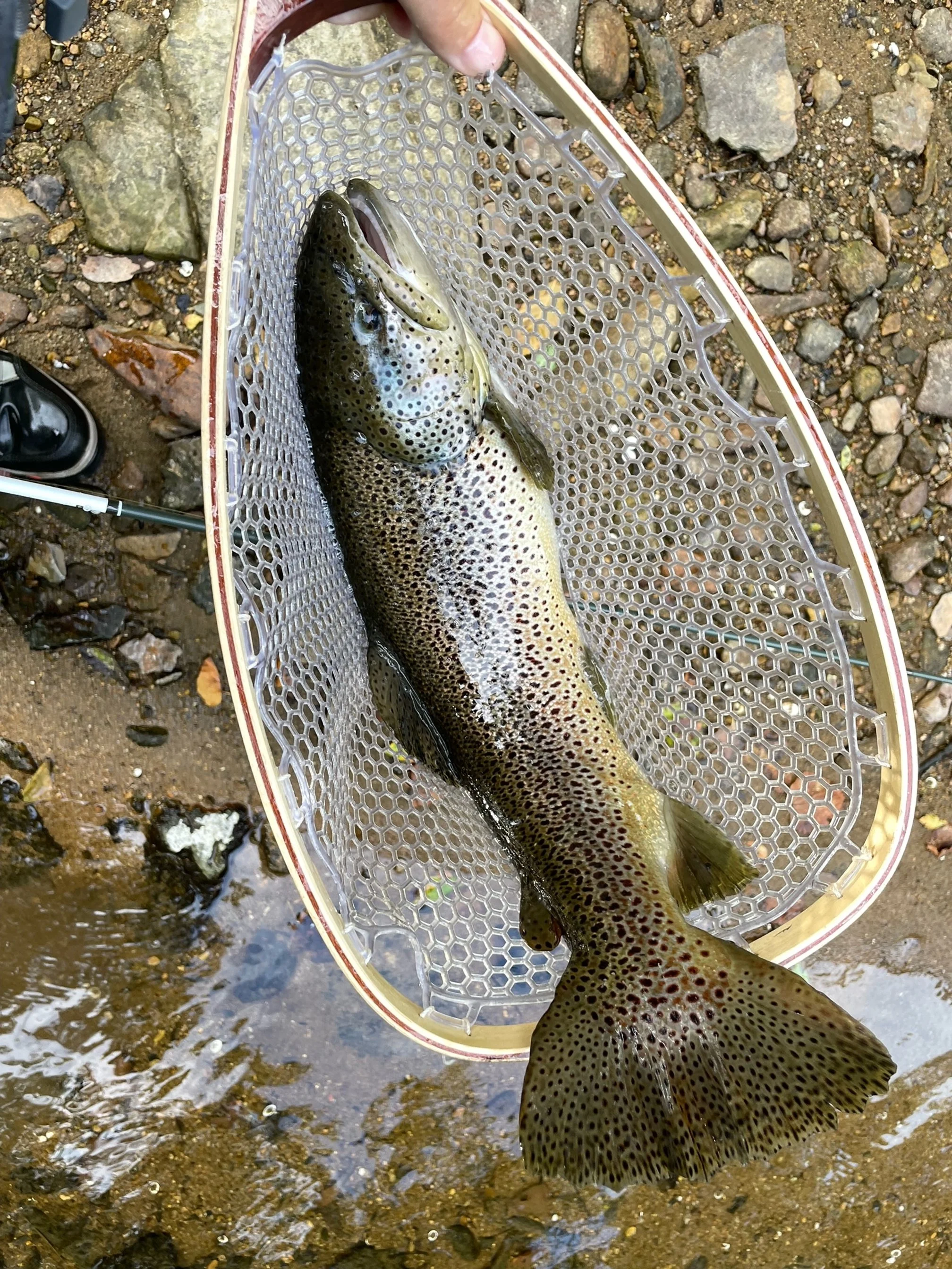 2026 Family Membership