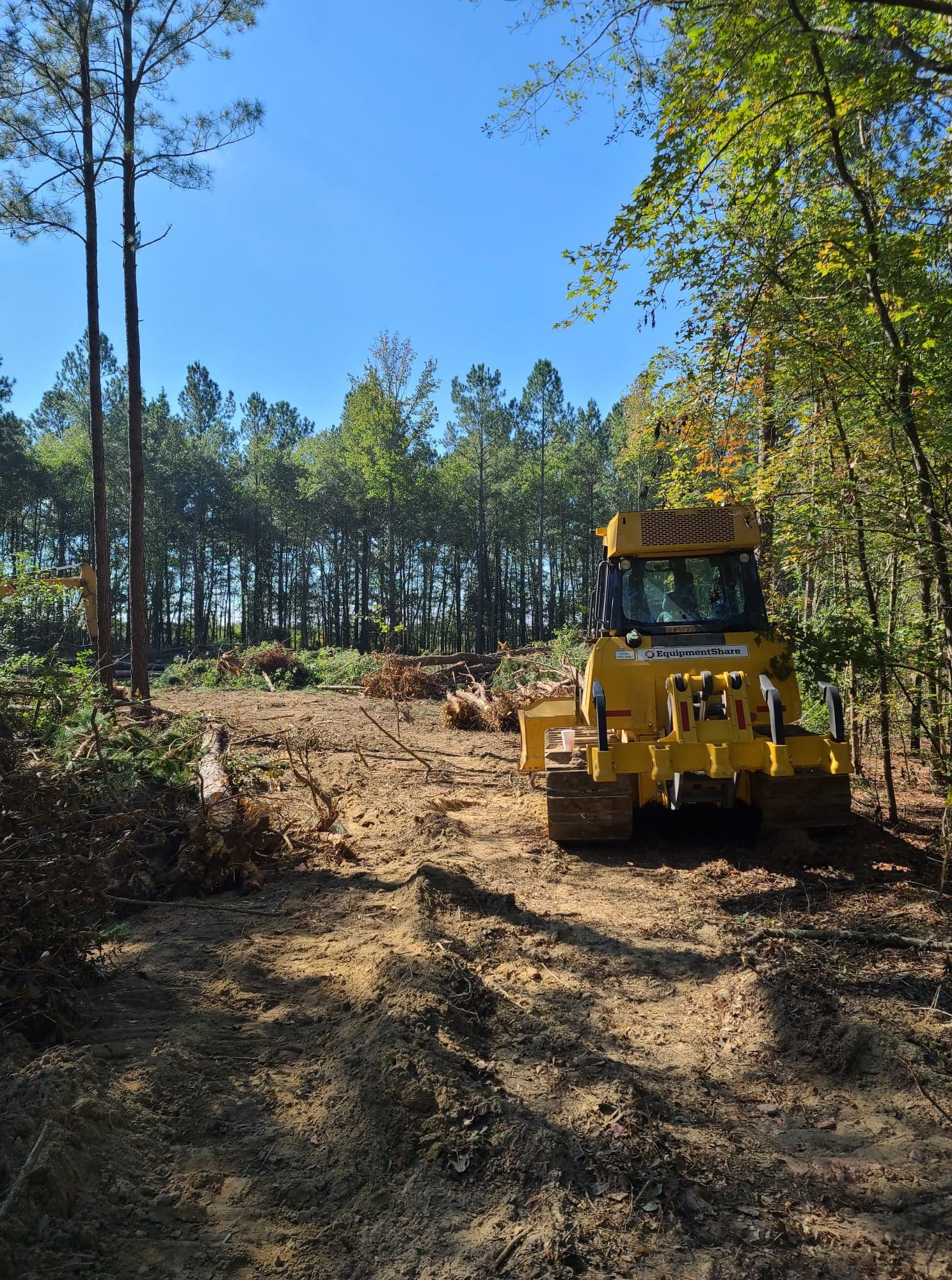 A yellow bulldozer on a dirt path in a wooded area with tall trees and a blue sky.