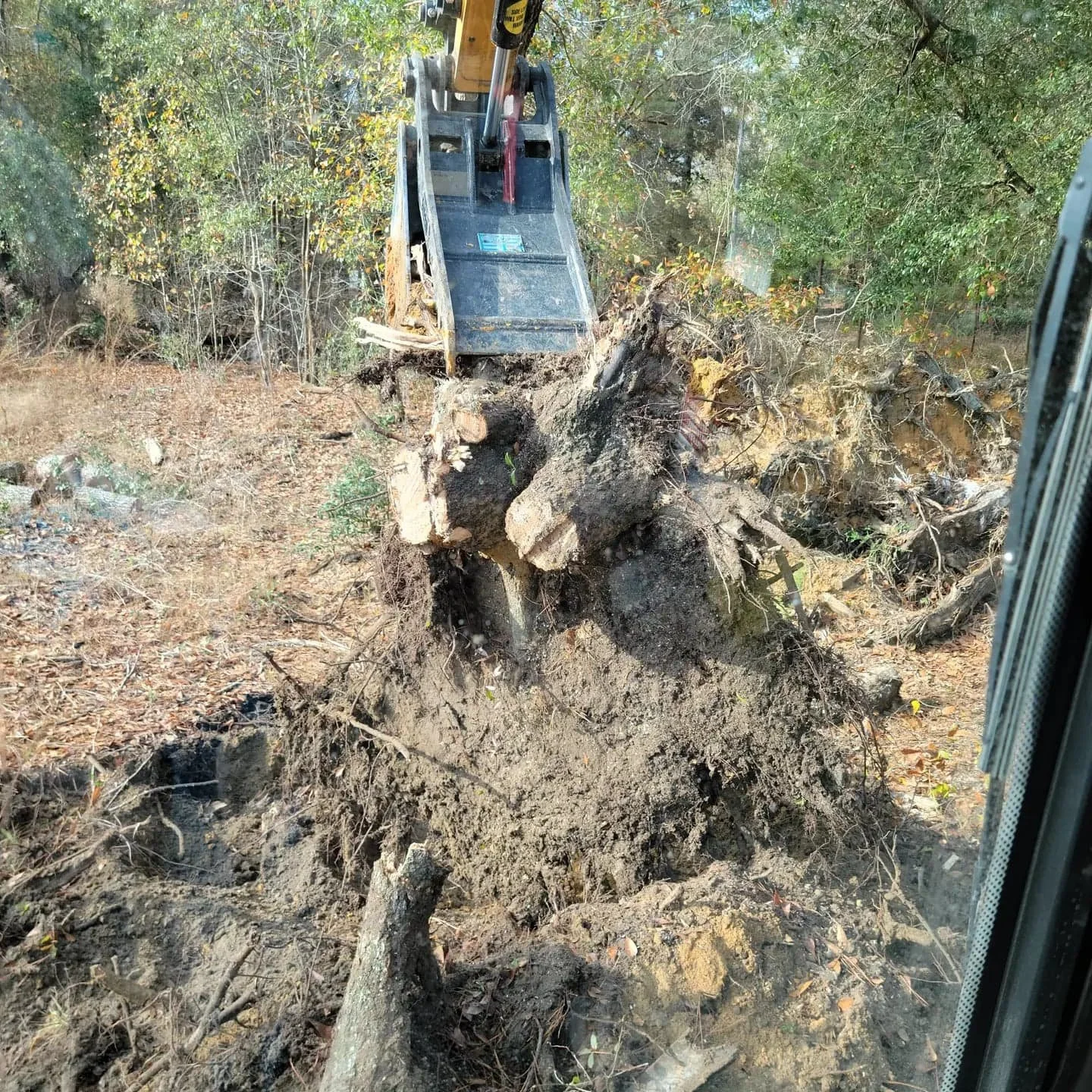 A large tree uprooted from the ground, with exposed roots and soil, being moved or excavated by heavy construction machinery in a wooded area.