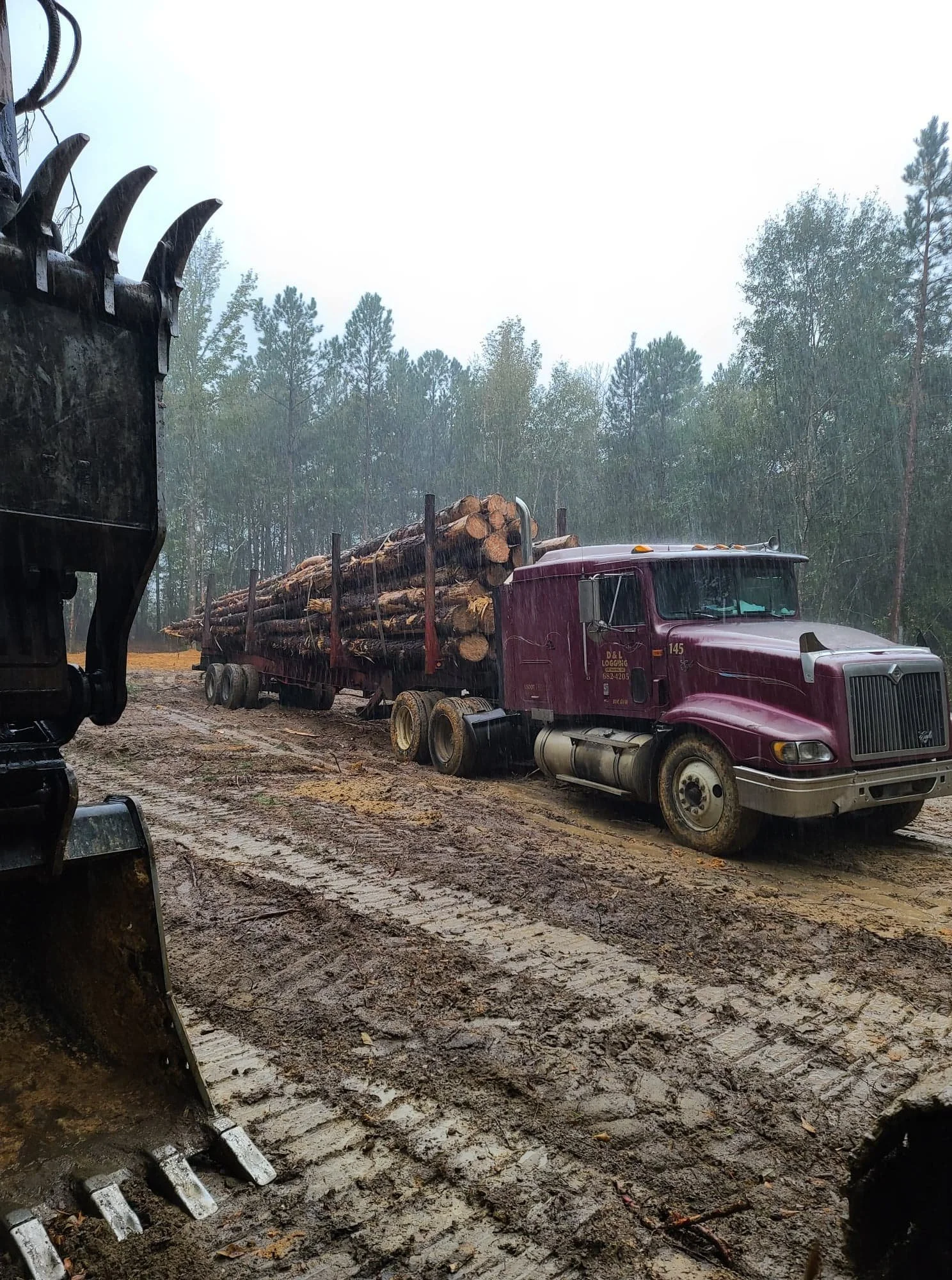 A maroon logging truck carrying cut logs on a dirt road in a forest during rainy weather, with an excavator bucket visible on the left side.