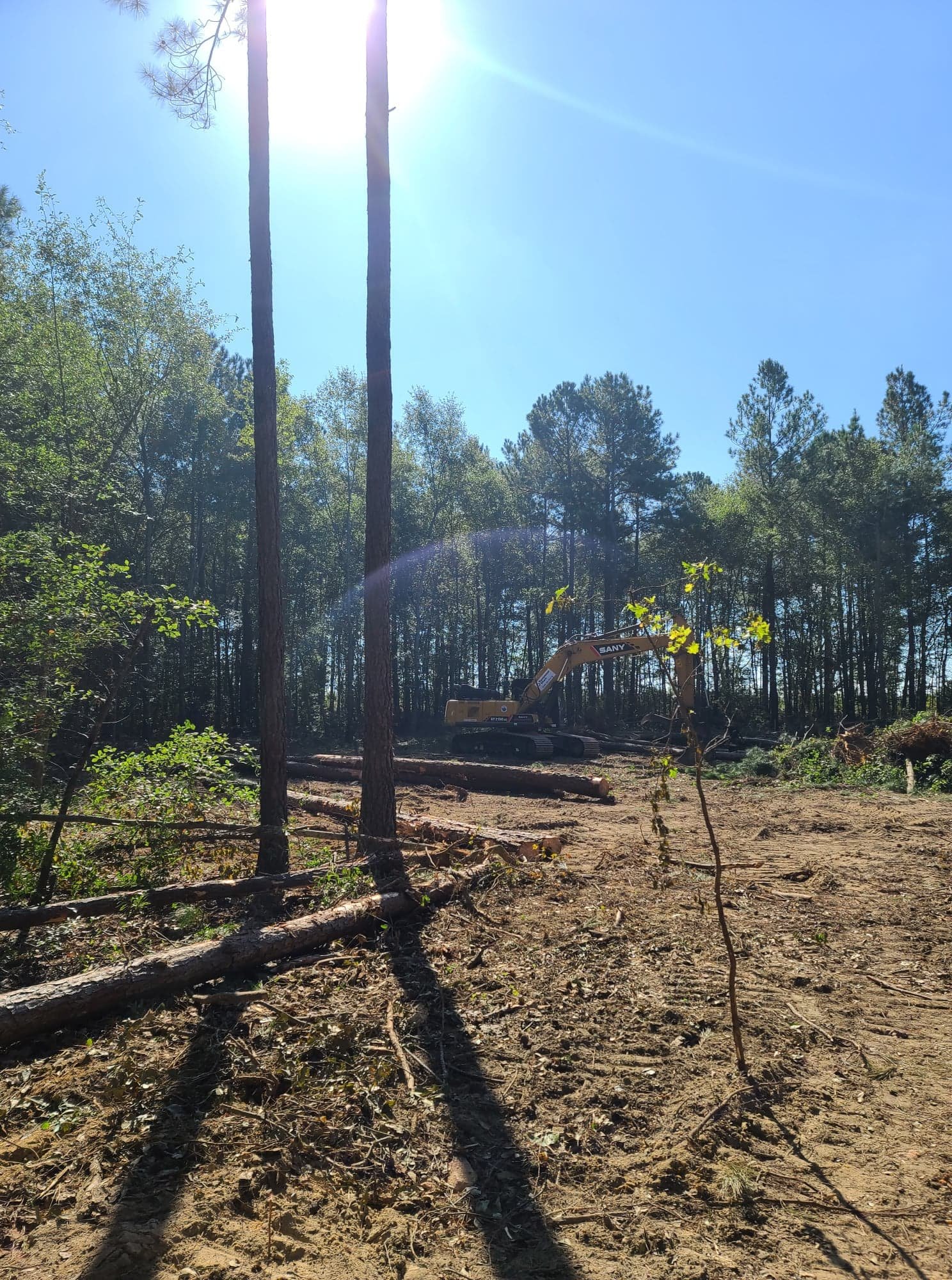 A construction site in a forest with trees and an excavator working on clearing the land under a clear and sunny sky.