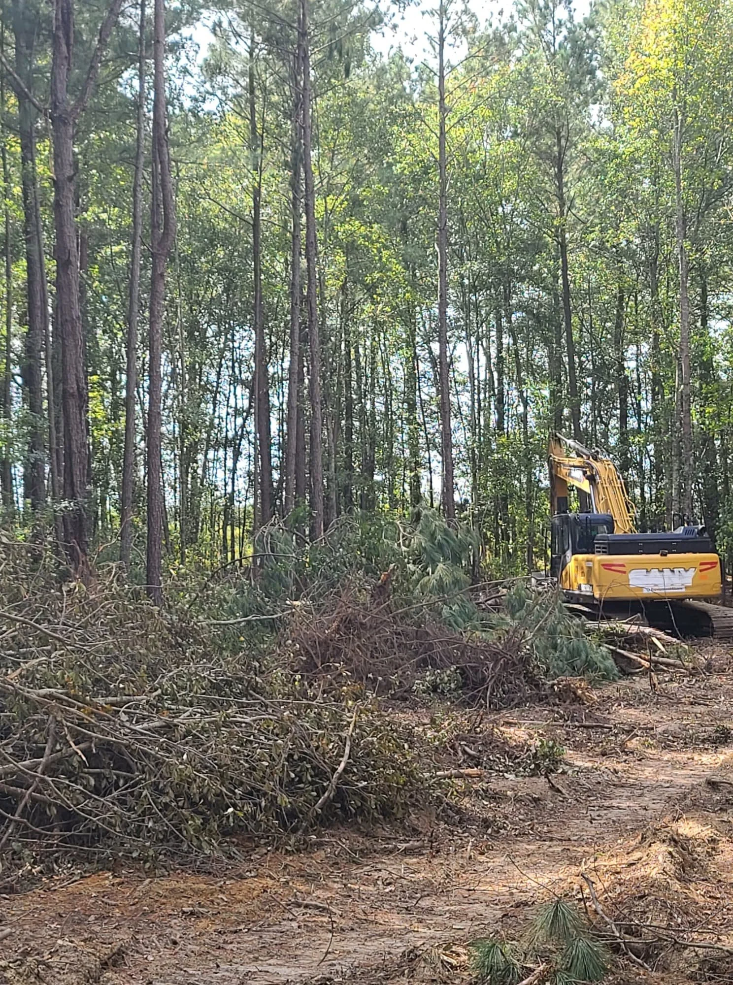 A yellow excavator in a forest clearing, surrounded by cut tree branches and debris, with tall trees and green foliage in the background.