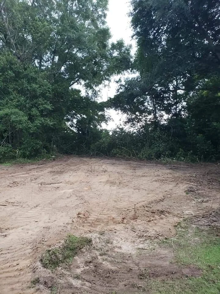 A cleared dirt area surrounded by dense green trees in a natural outdoor setting.