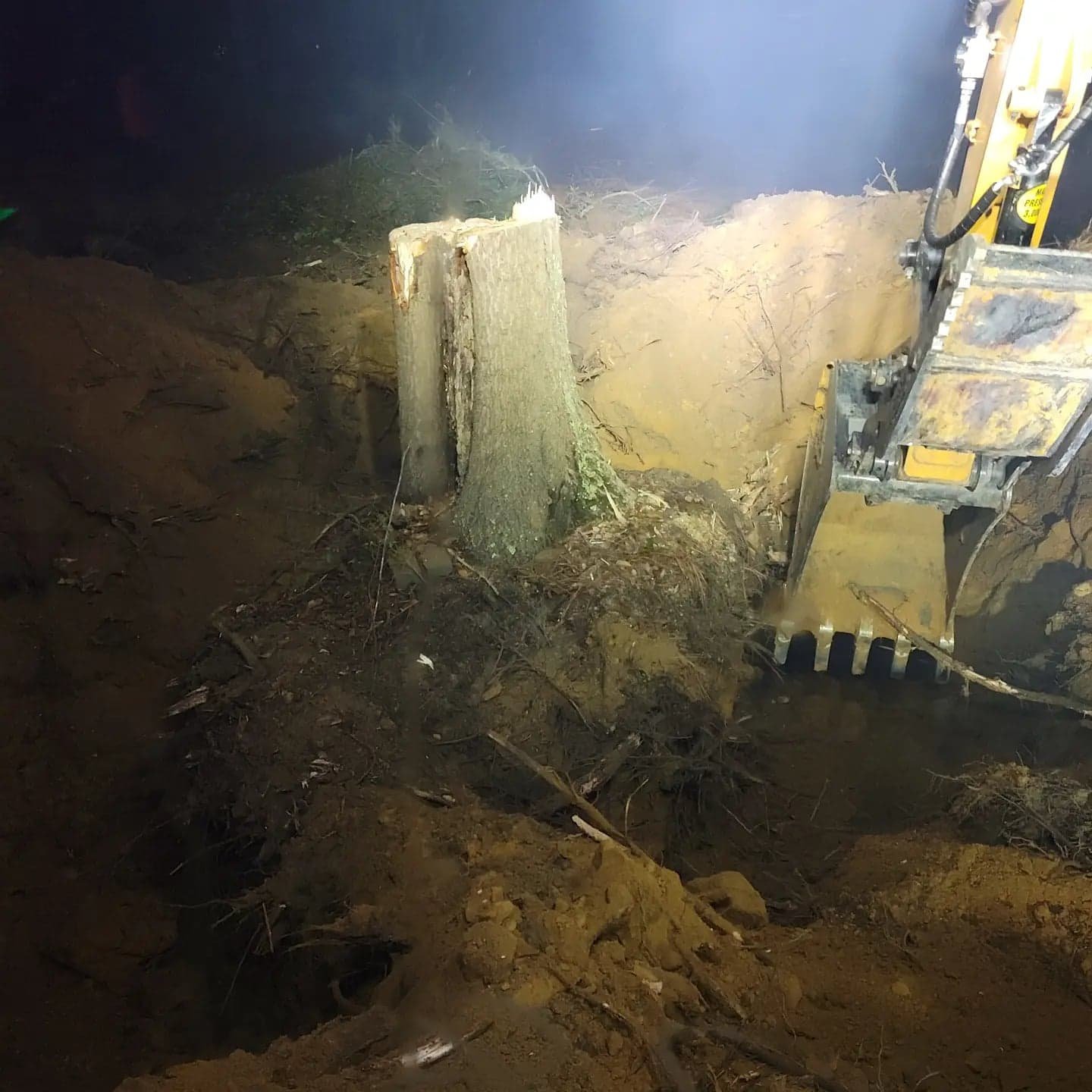 Tree stump with excavator digging around it at night.
