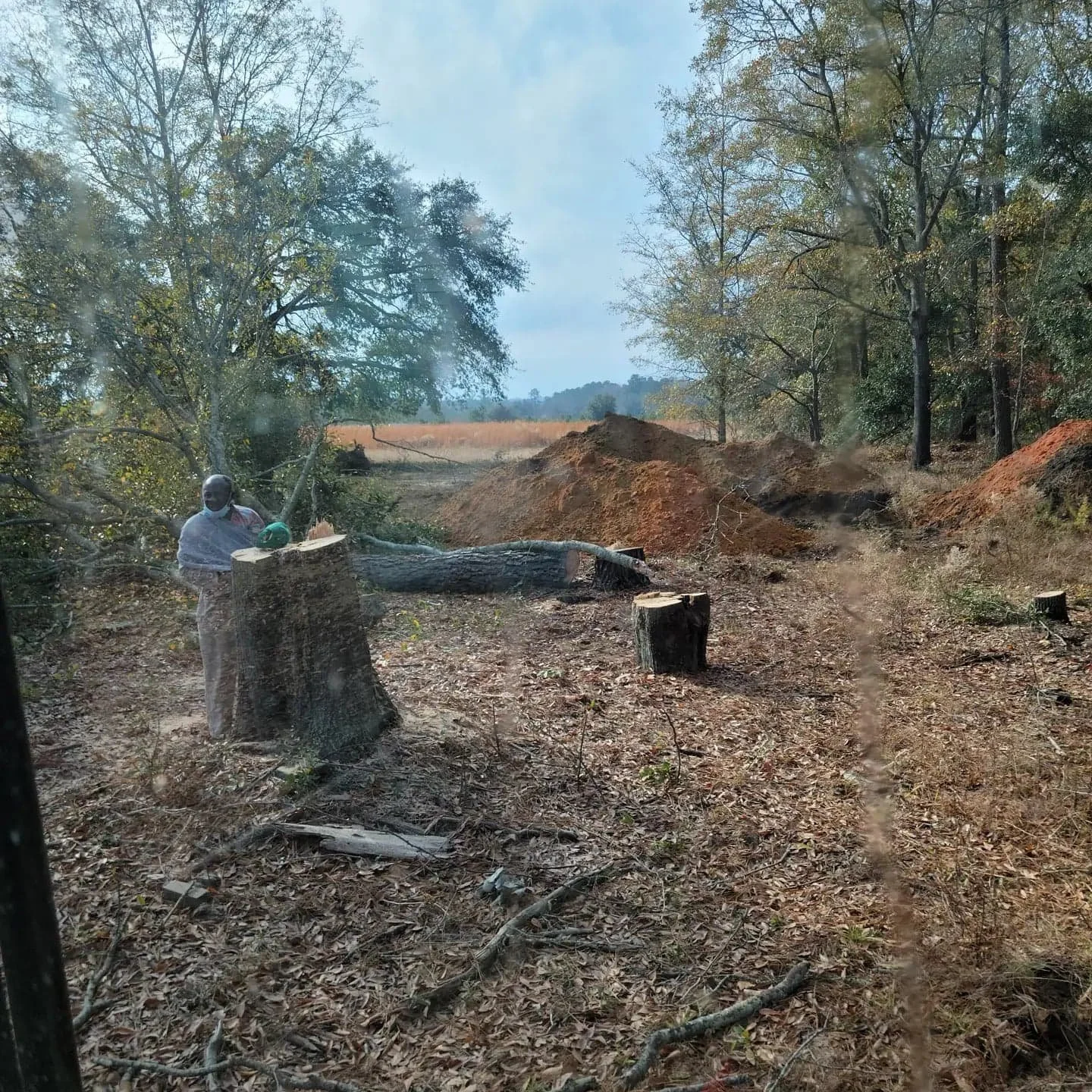 A man wearing a face mask stands outdoors near a large fallen tree and tree stumps, with dirt mounds and trees in the background, viewed through a dirty window.