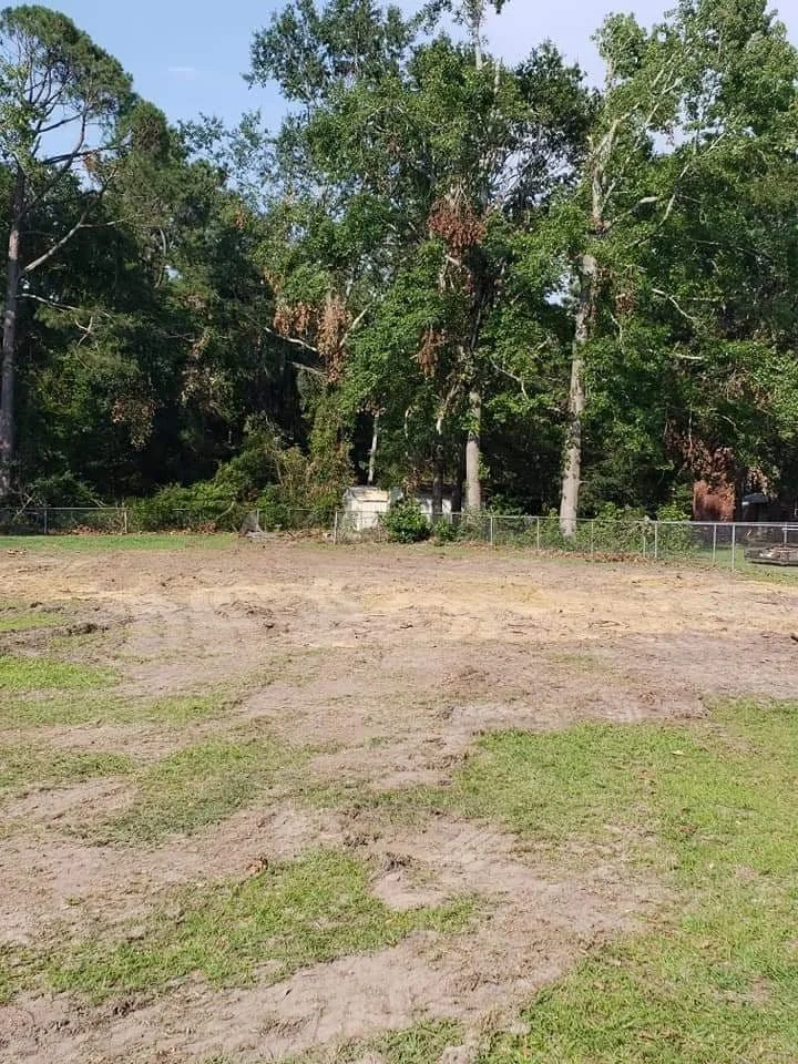 A cleared patch of land with patches of grass in the foreground, surrounded by a chain-link fence and dense trees with green foliage in the background.