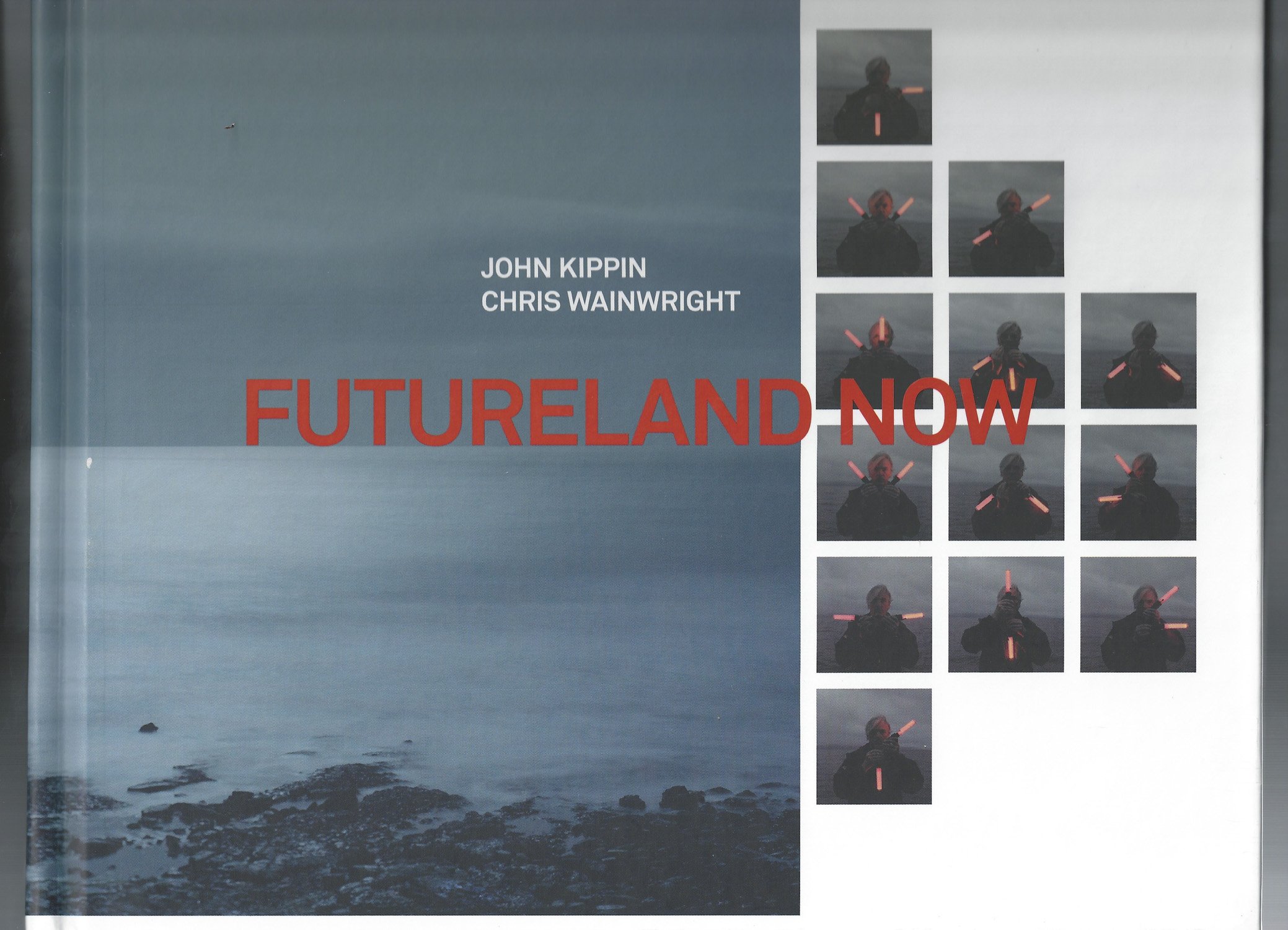 Liz Wells - Futureland Now (2012).jpg