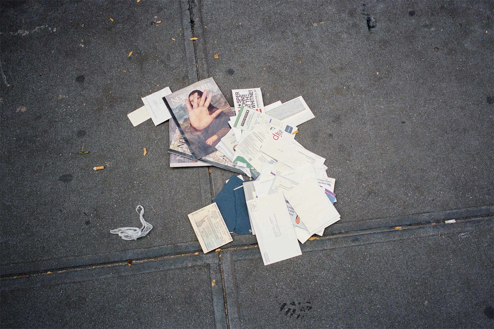 © Trent Teinert