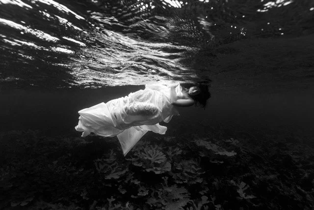 114x76_Alejandra Regalado_Ophelia No.7 Medium.jpeg