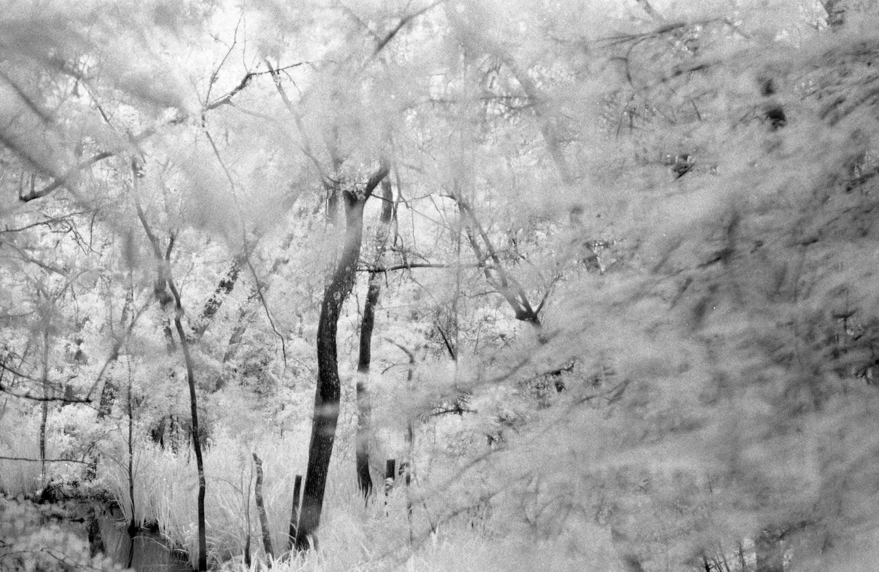 Artist Talk: soft heat by Jamie Robertson