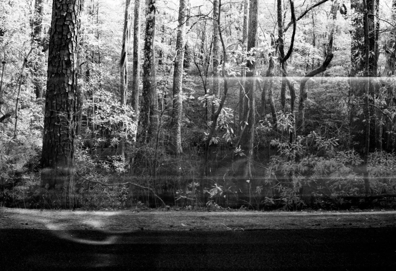 Robertson_03 Large.jpeg