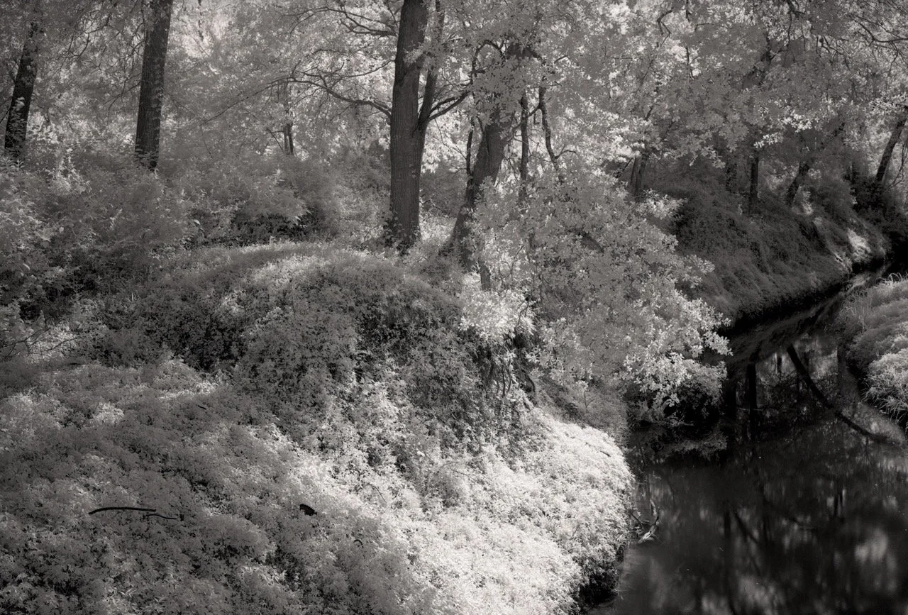 Robertson_61 Large.jpeg