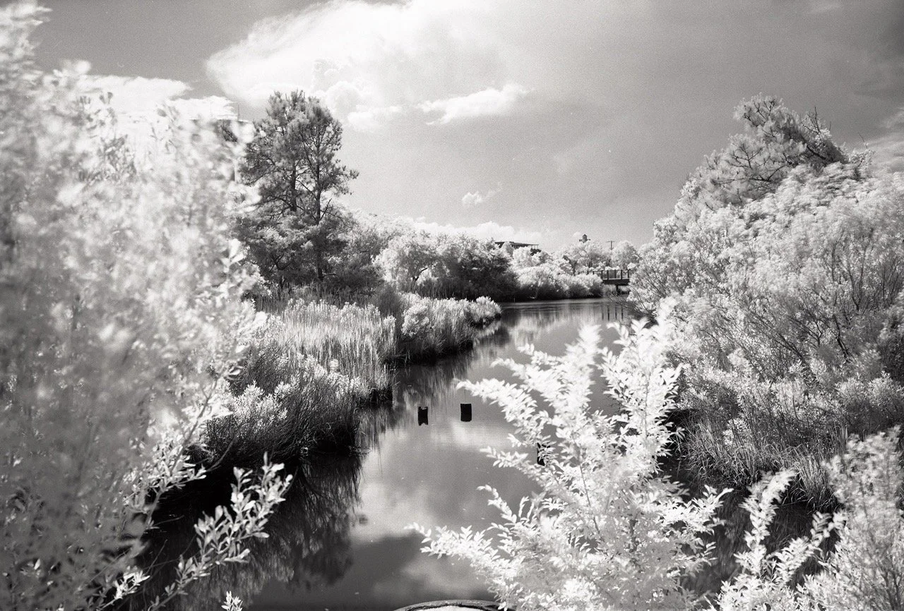 Robertson_09 Large.jpeg