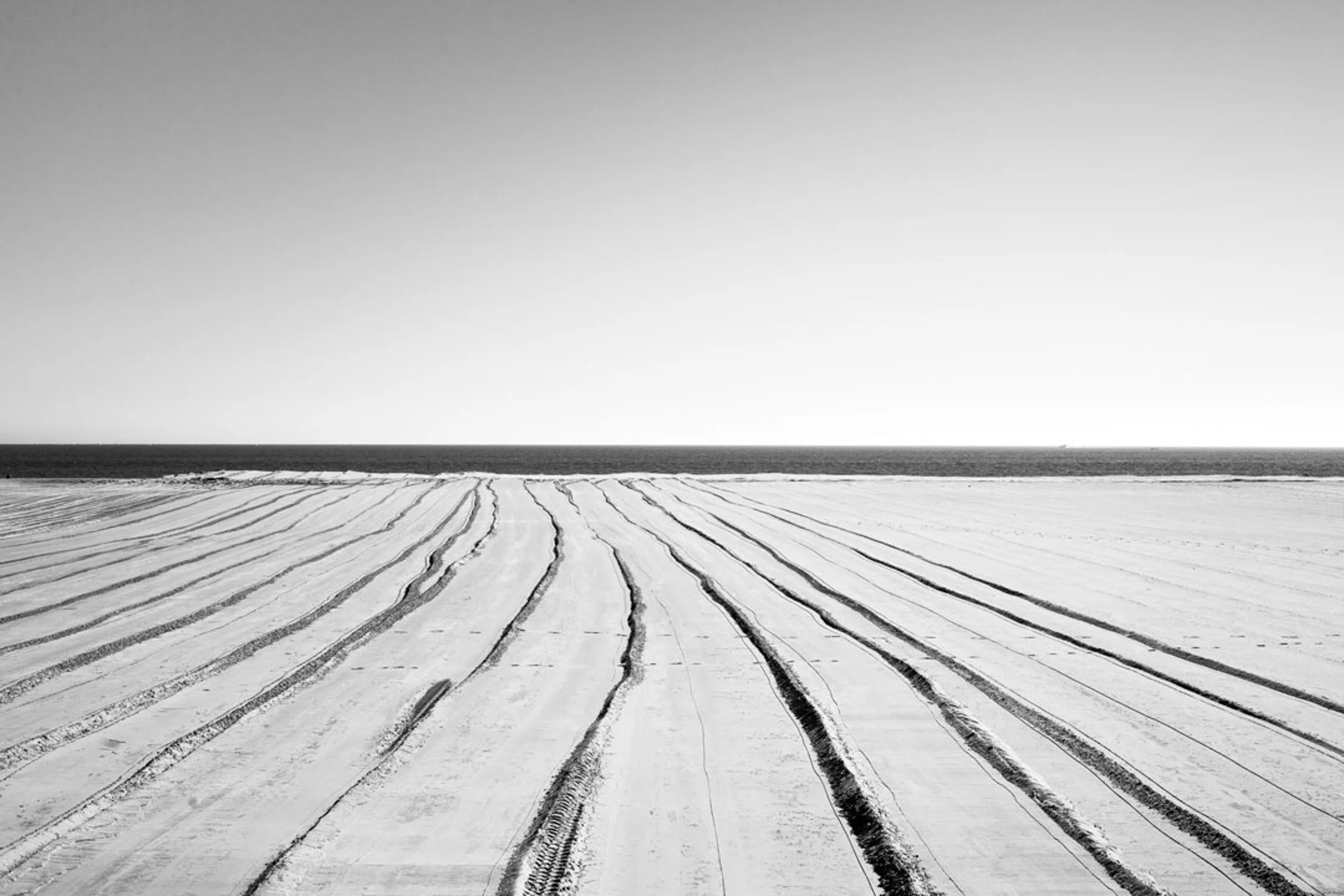 © Violette Bule 