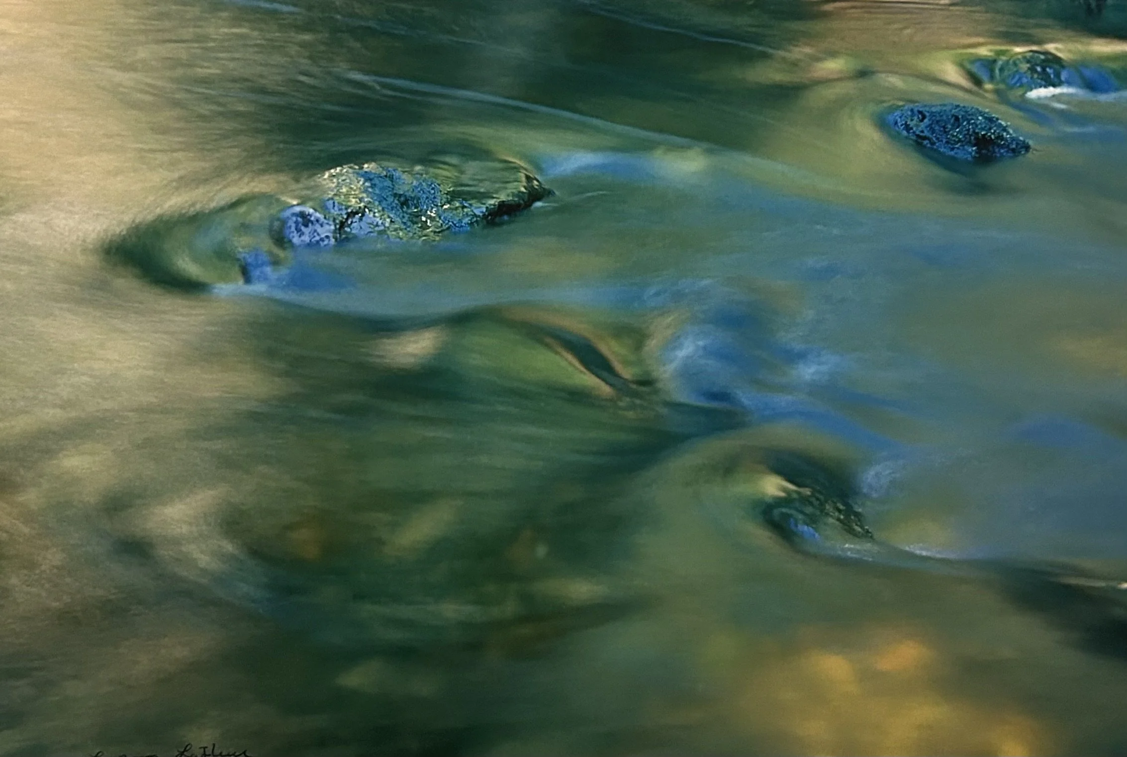 Spring Cleaning Print Sale