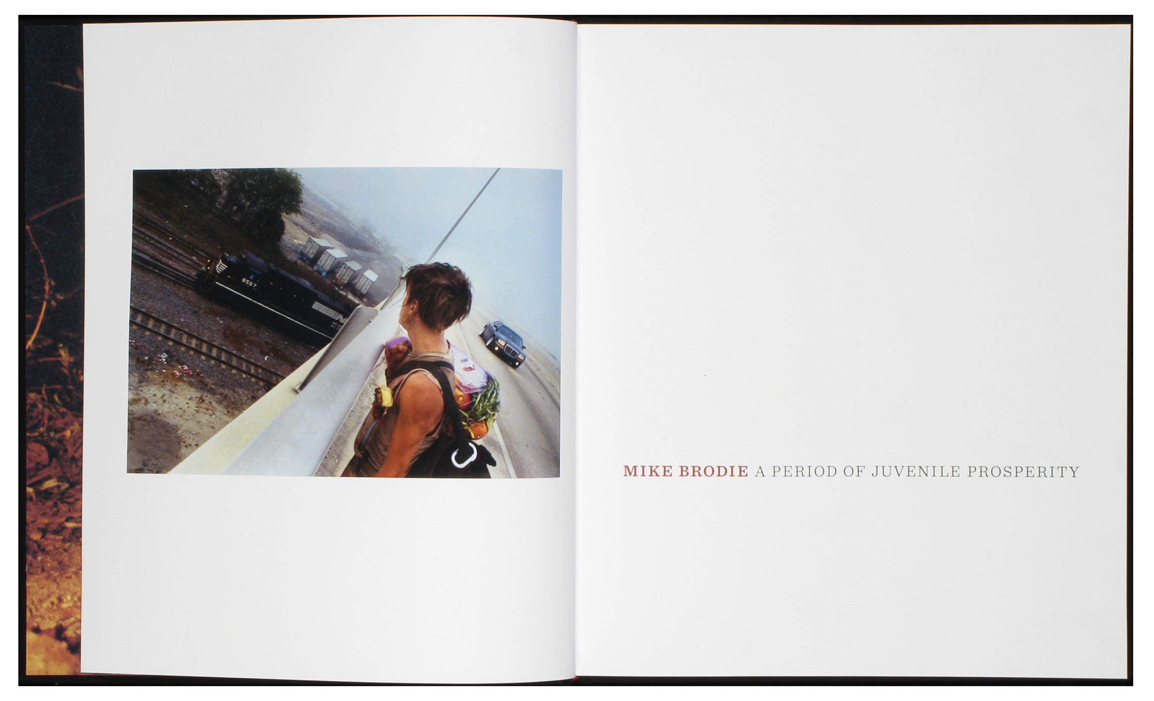  A Period of Juvenile Prosperity, by Mike Brodie 